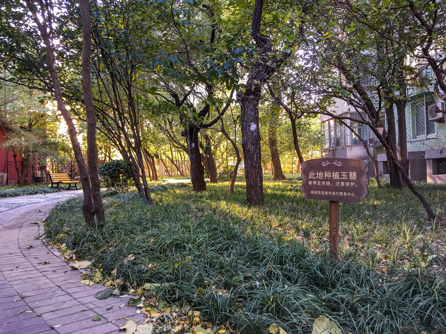 芙蓉里 - Beijing property leasing for expats