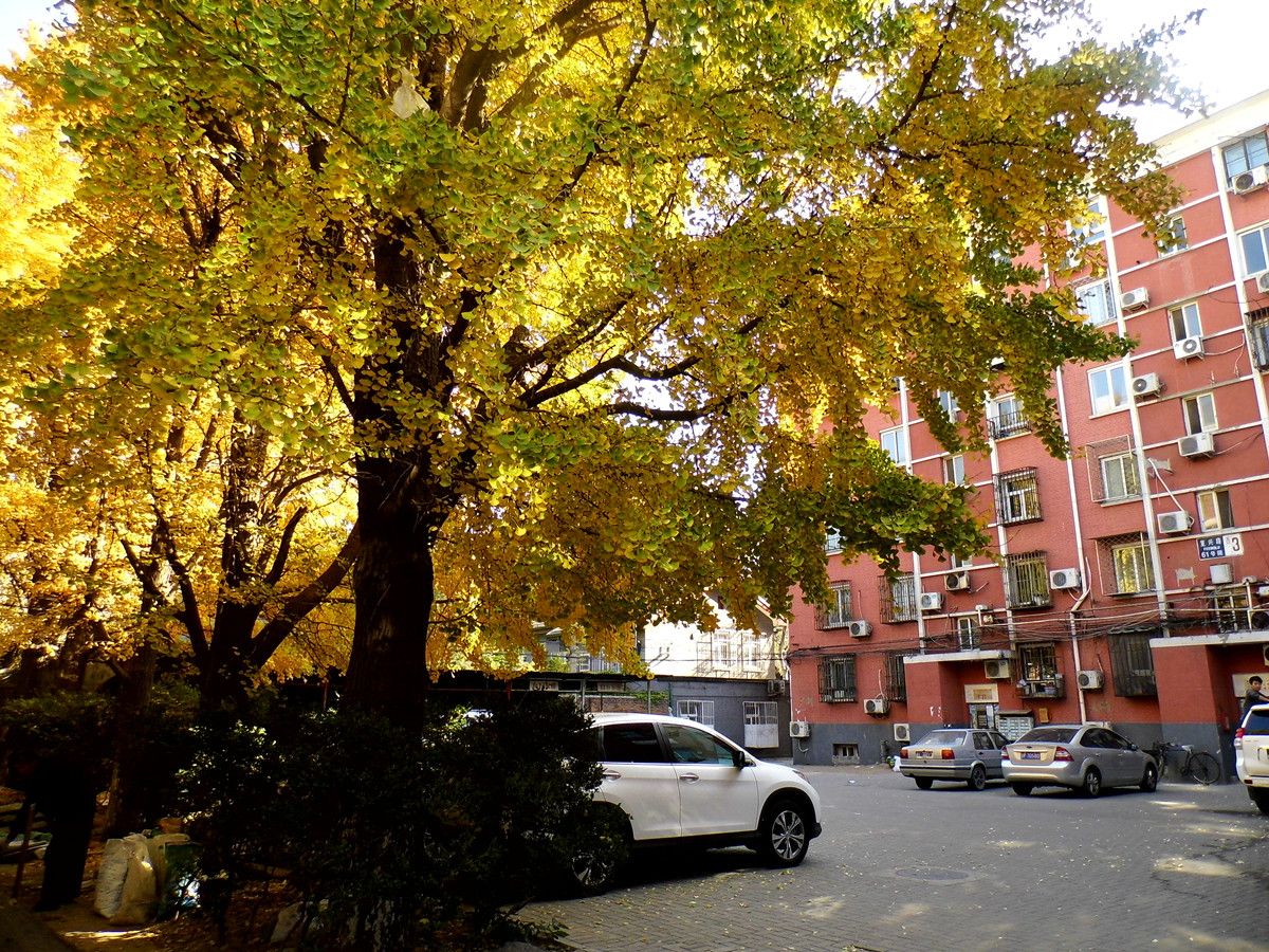 复兴路61号院 - Beijing property leasing for expats