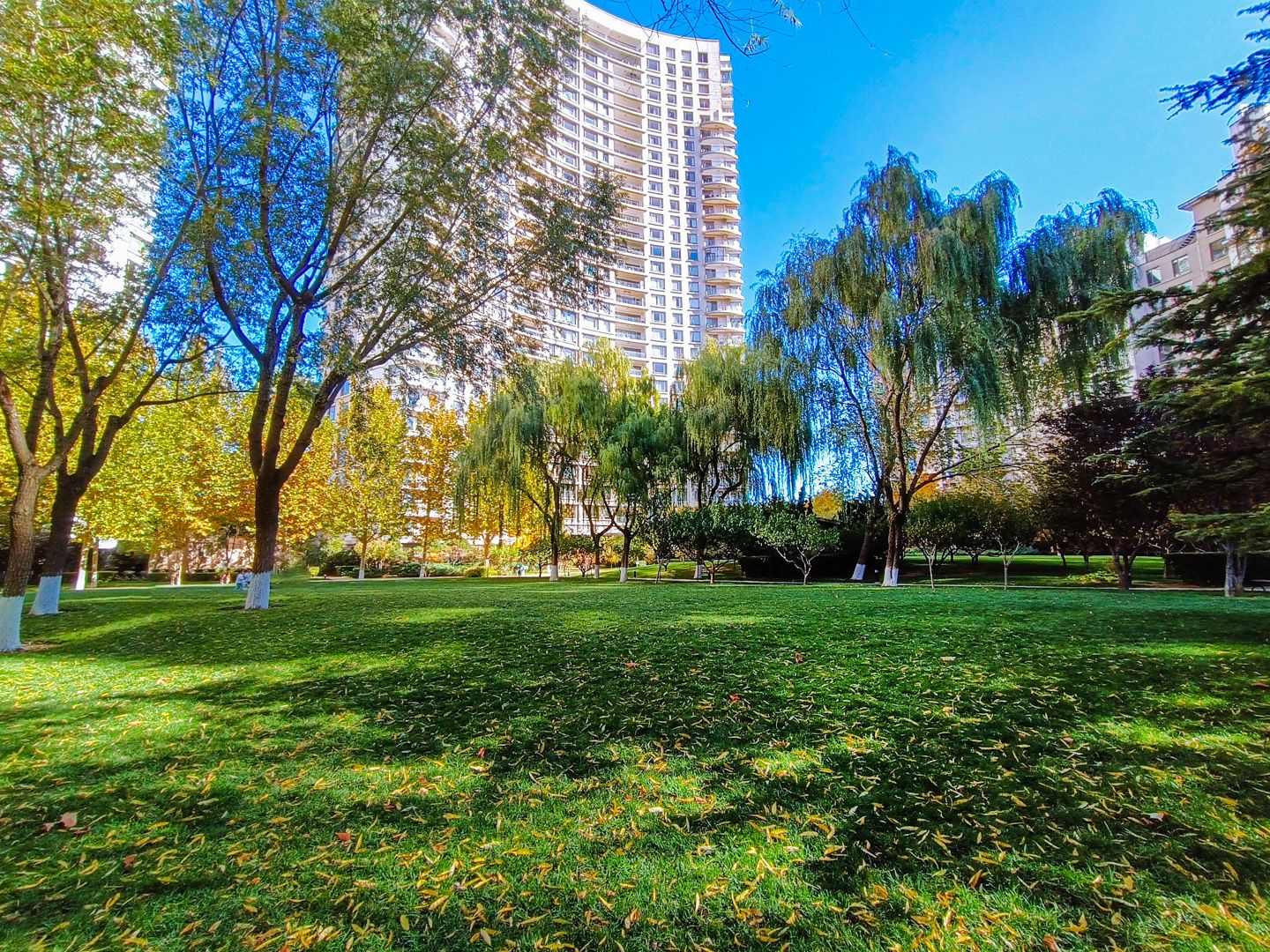 公园大道 - Beijing property leasing for expats