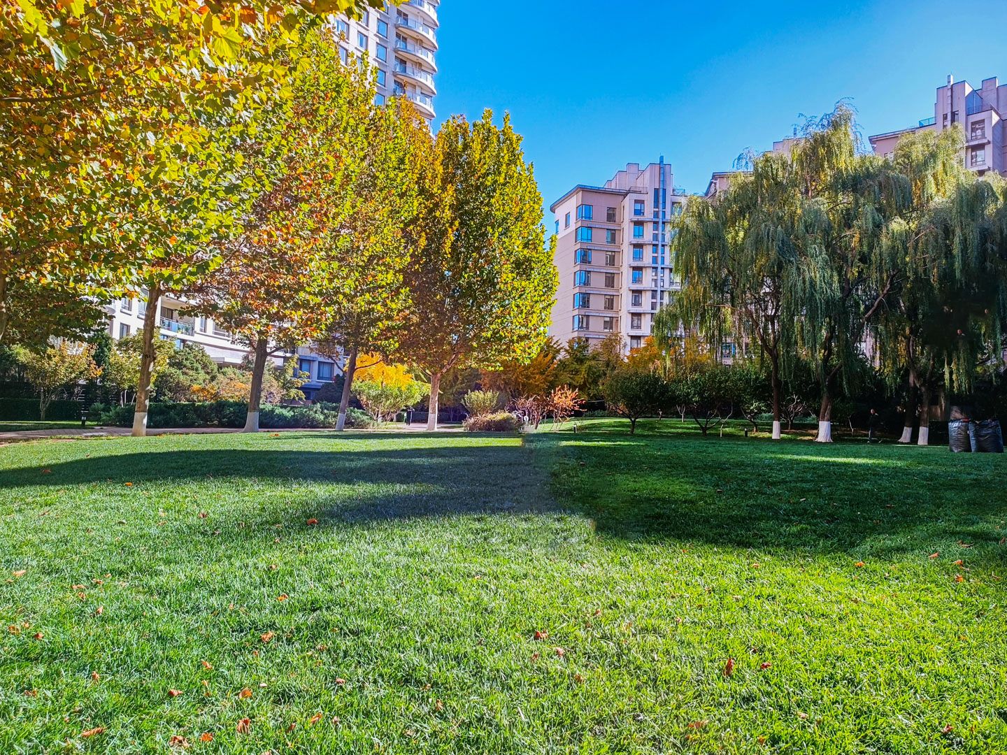 公园大道 - Beijing property leasing for expats