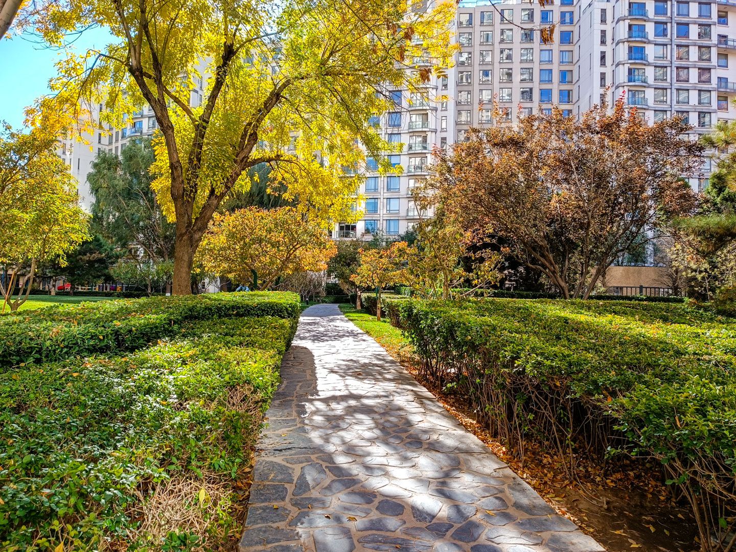 公园大道 - Beijing property leasing for expats