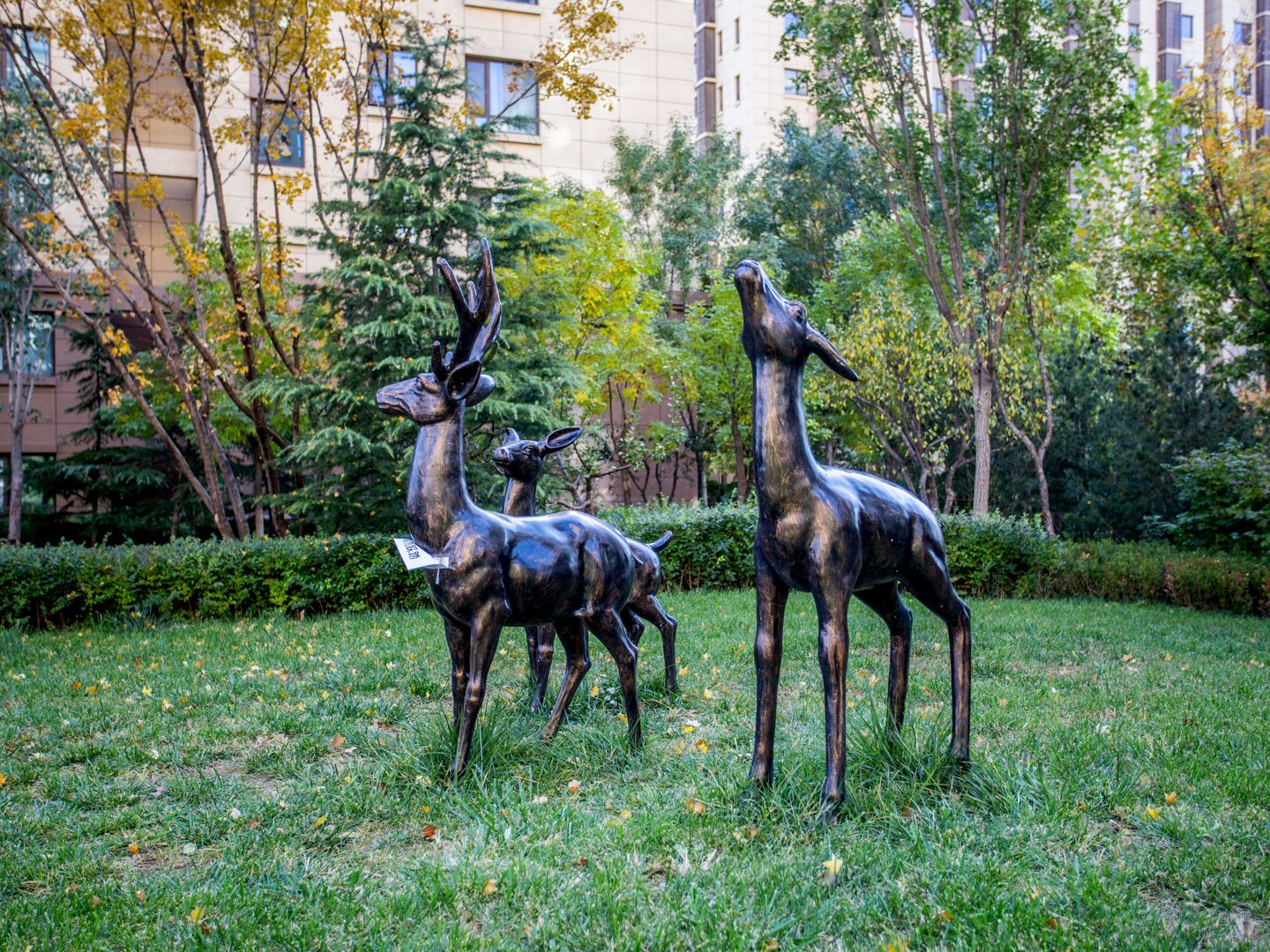 公园懿府 - Beijing property leasing for expats