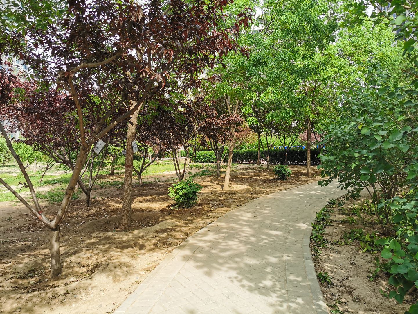 广安康馨家园北区 - Beijing property leasing for expats