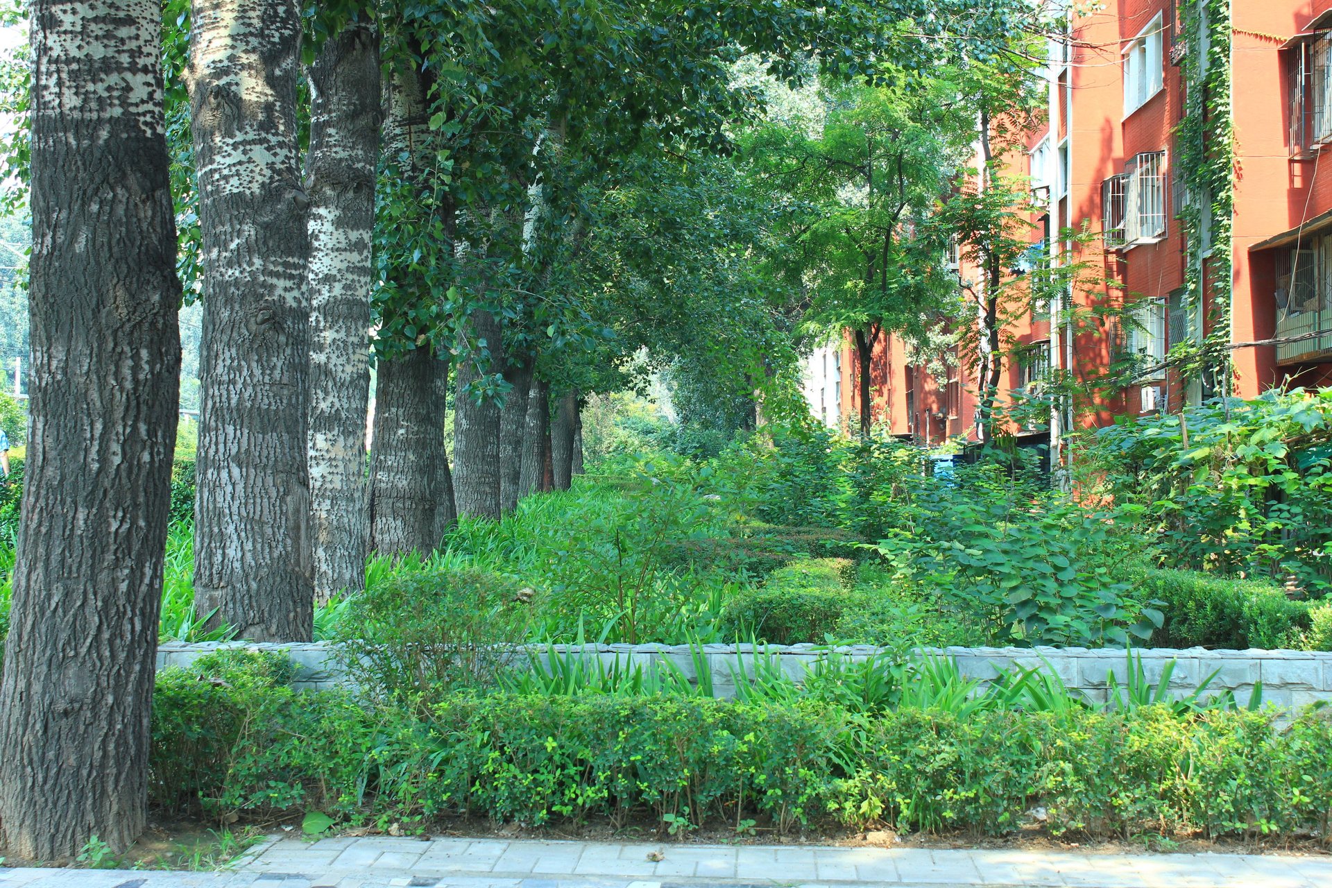 光明楼 - Beijing property leasing for expats