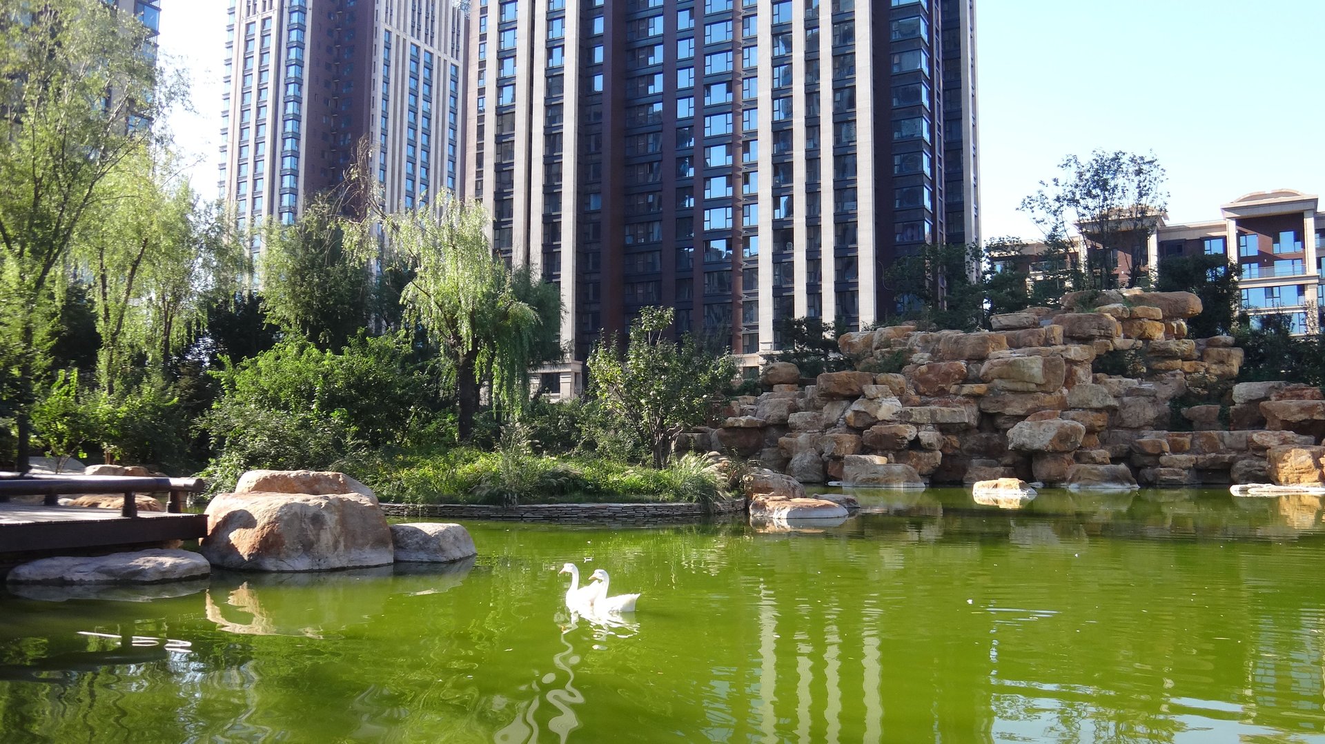 海棠湾一期 - Beijing property leasing for expats