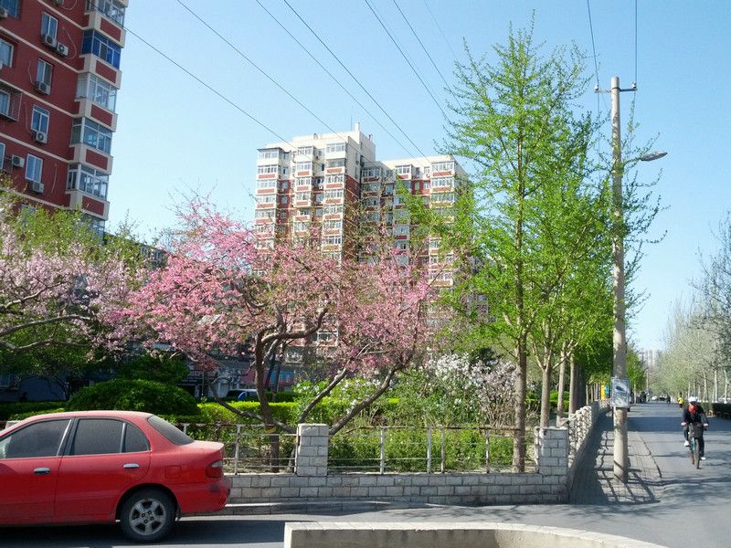 红莲中里 - Beijing property leasing for expats