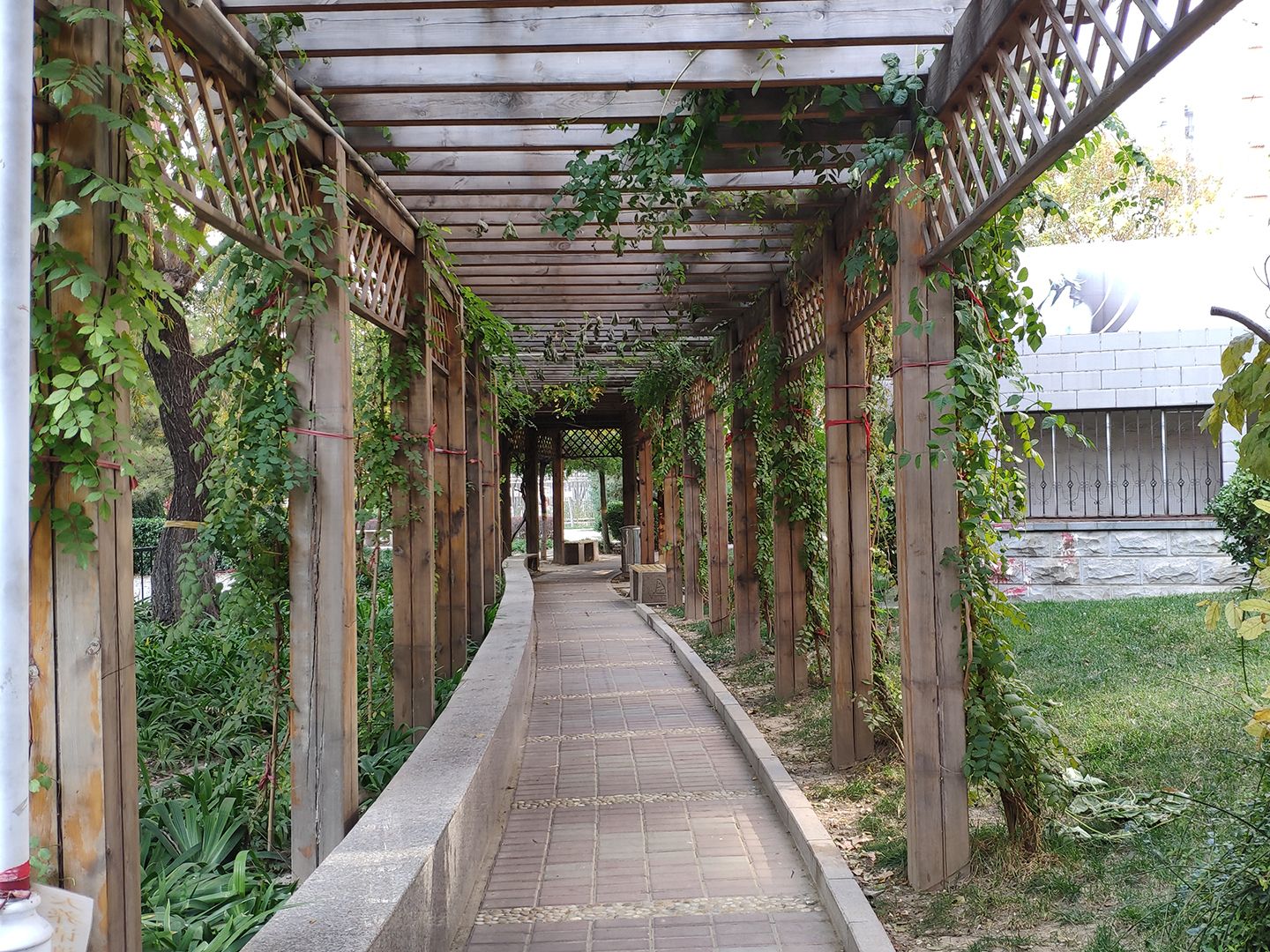 花市枣苑三期 - Beijing property leasing for expats