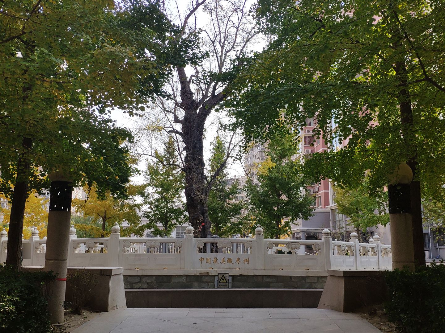 花市枣苑三期 - Beijing property leasing for expats