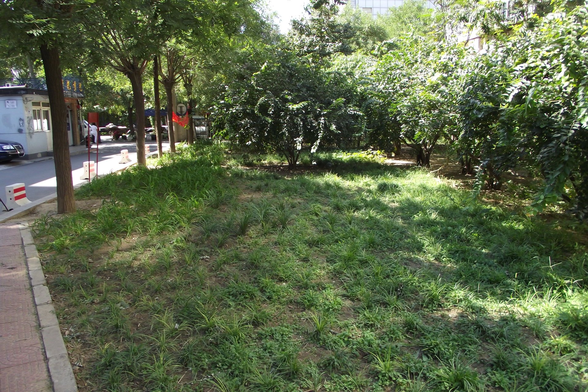 Huayan Beili Community - beijing expat housing photo 10