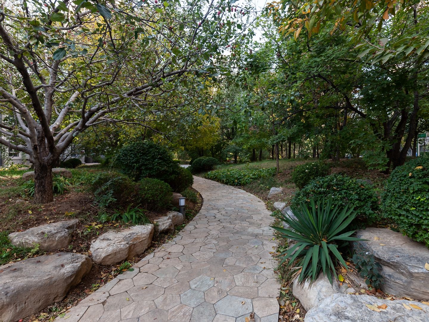 华业东方玫瑰A区 - Beijing property leasing for expats