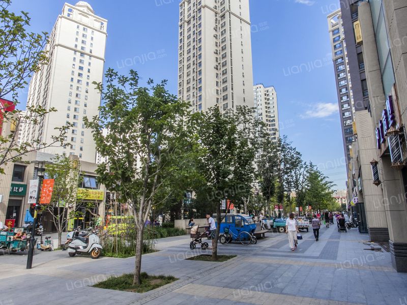 华业东方玫瑰A区 - Beijing property leasing for expats