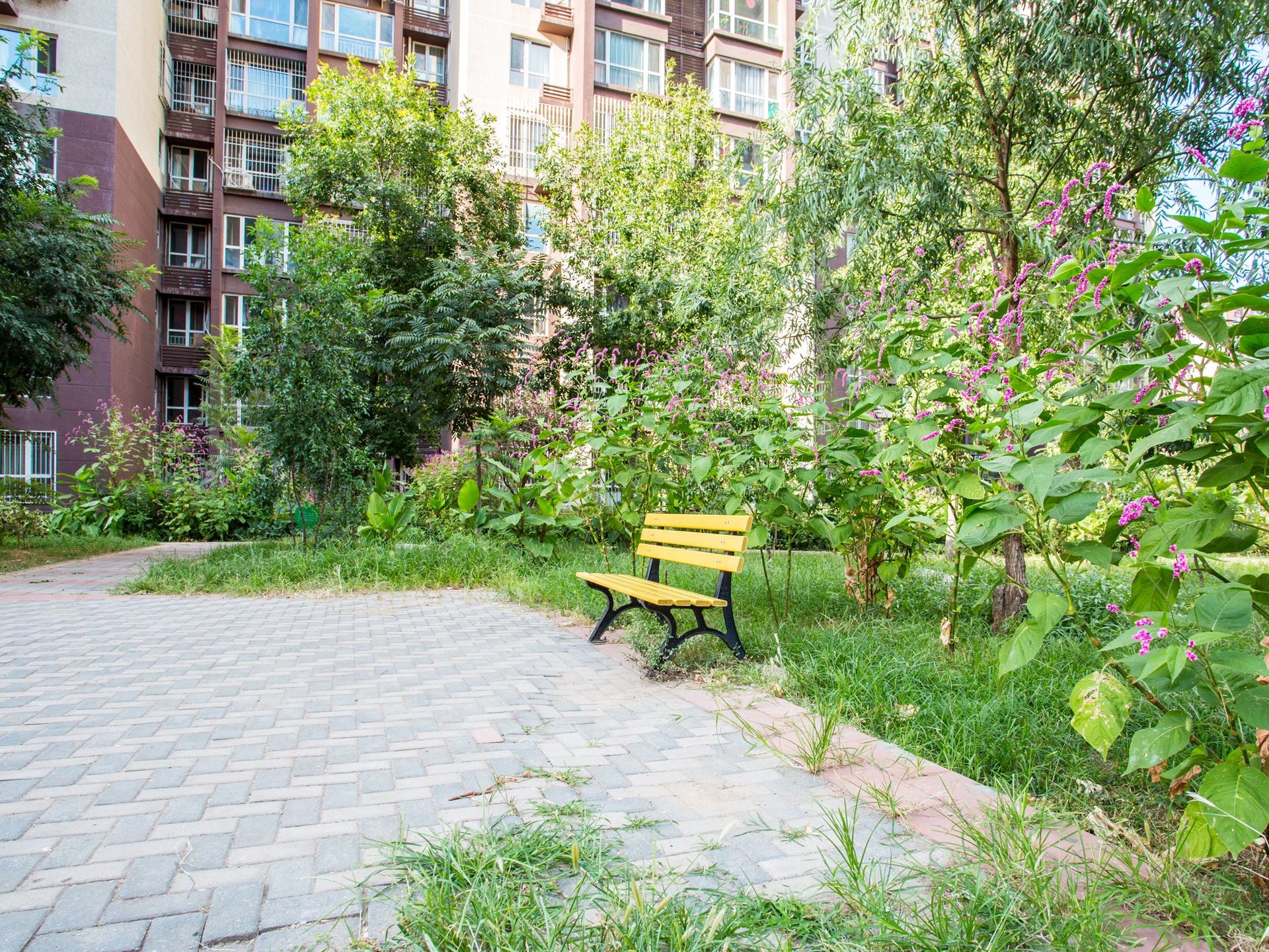 金顶阳光 - Beijing property leasing for expats