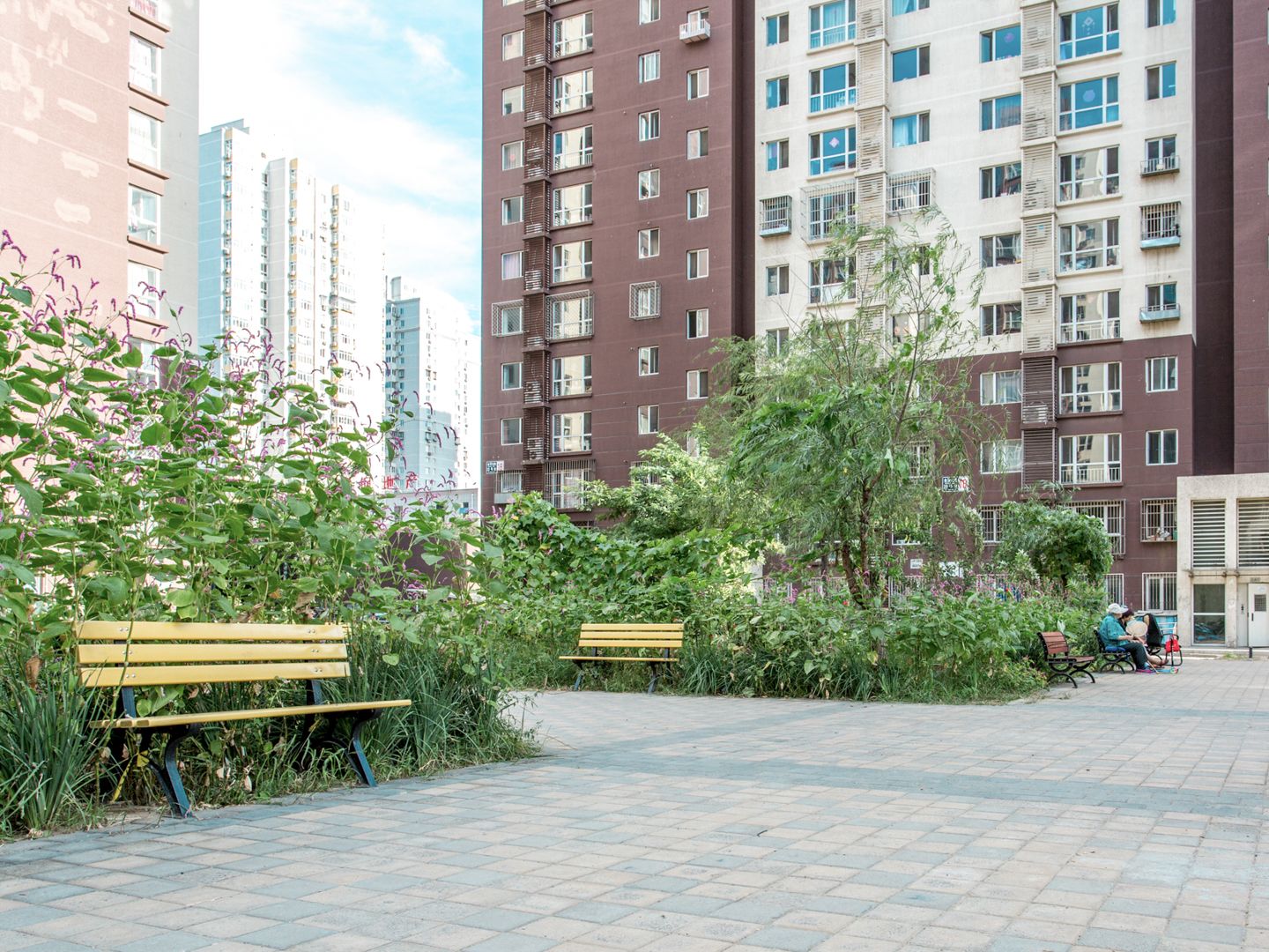 金顶阳光 - Beijing property leasing for expats