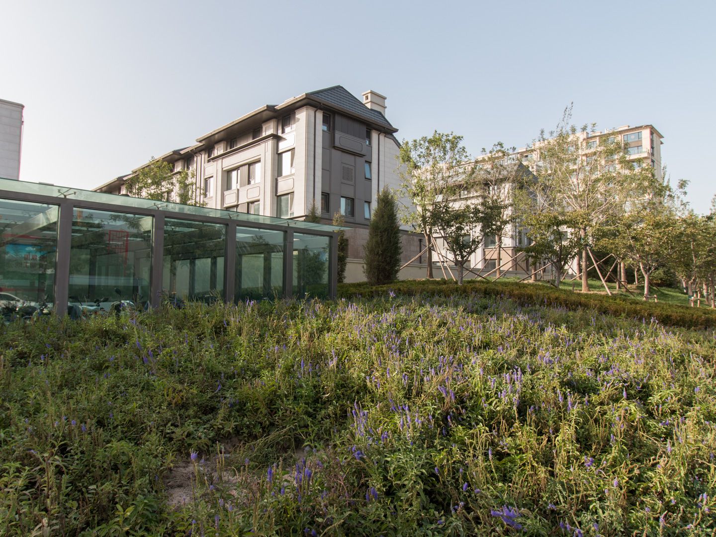 景粼原著 - Beijing property leasing for expats