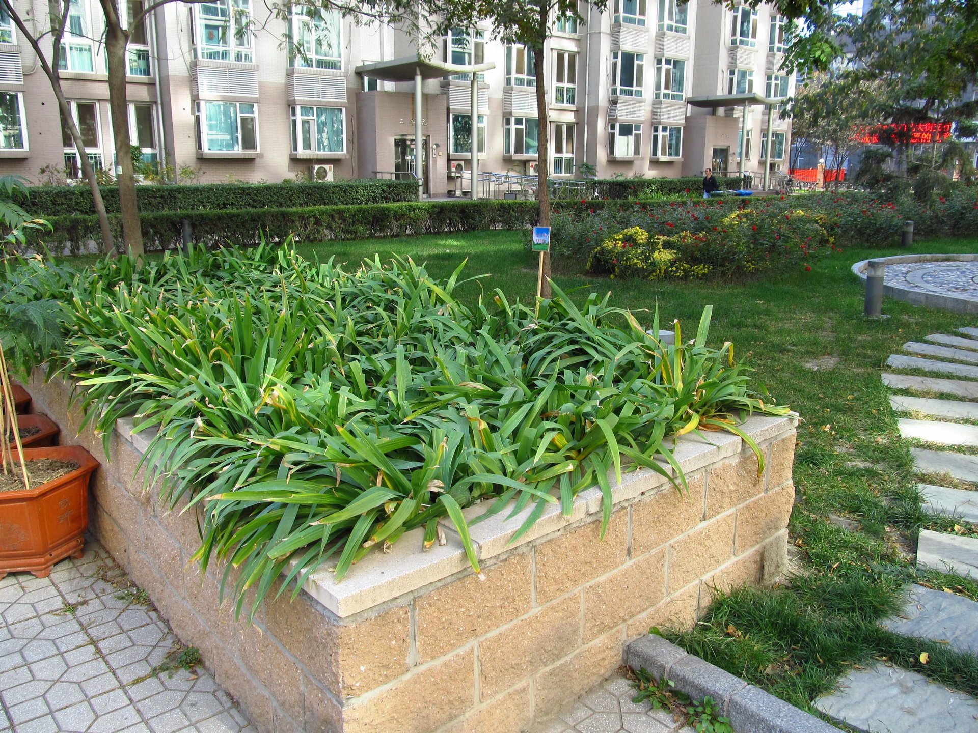 金晖嘉园 - Beijing property leasing for expats