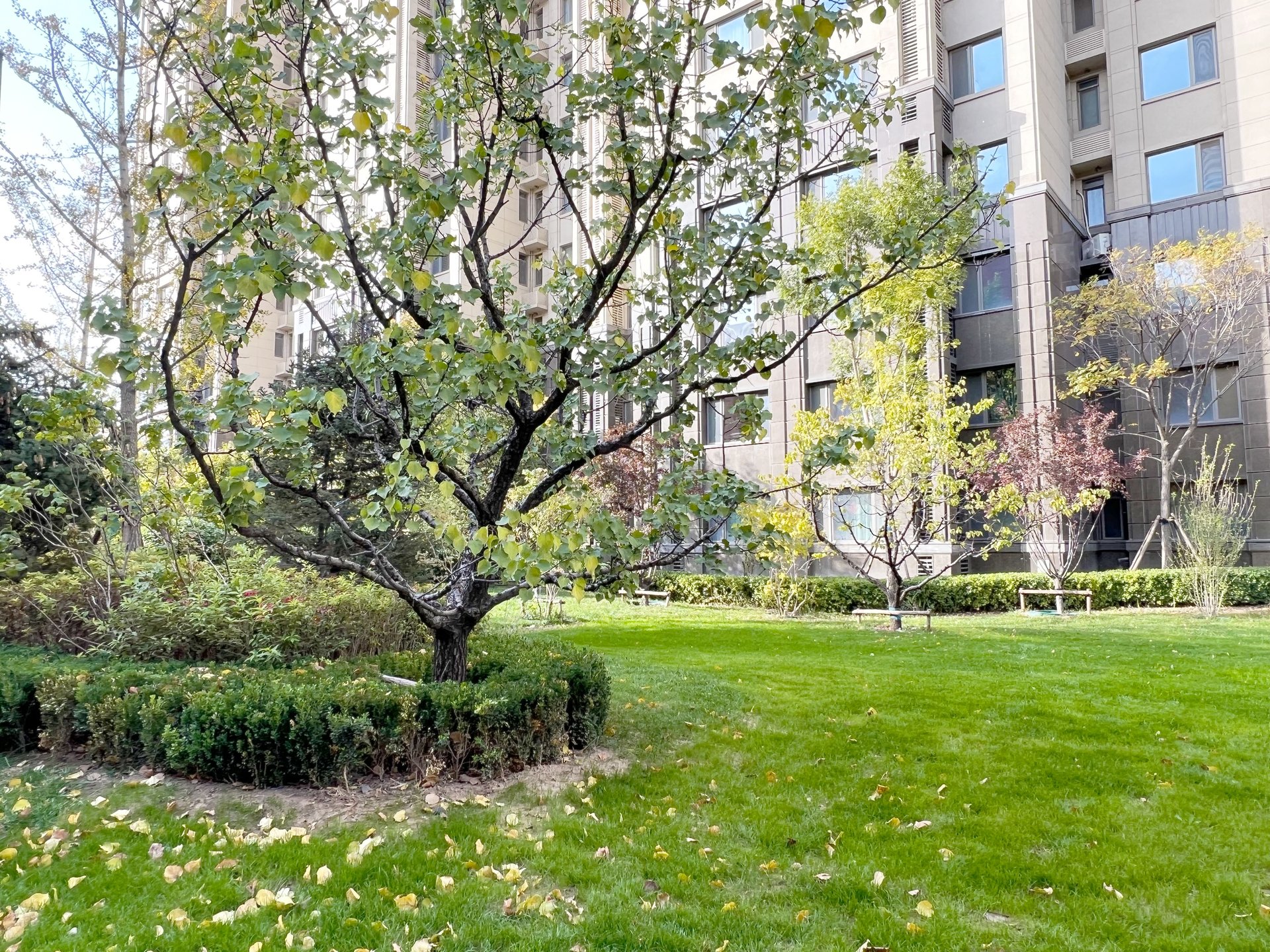 金融街武夷融御 - Beijing property leasing for expats