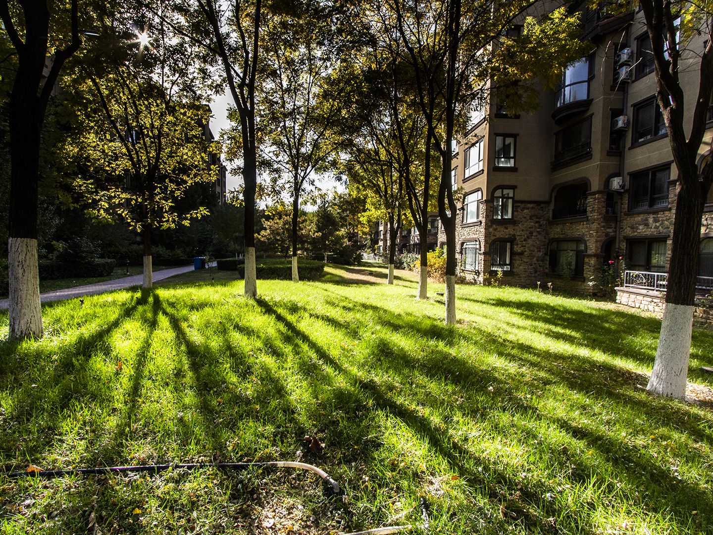 金色漫香苑 - Beijing property leasing for expats