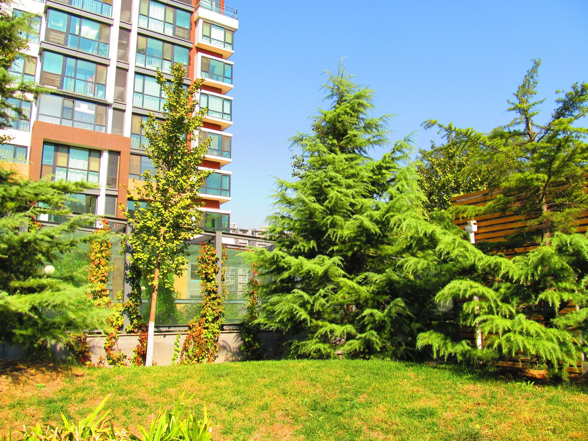 金隅凤麟洲 - Beijing property leasing for expats