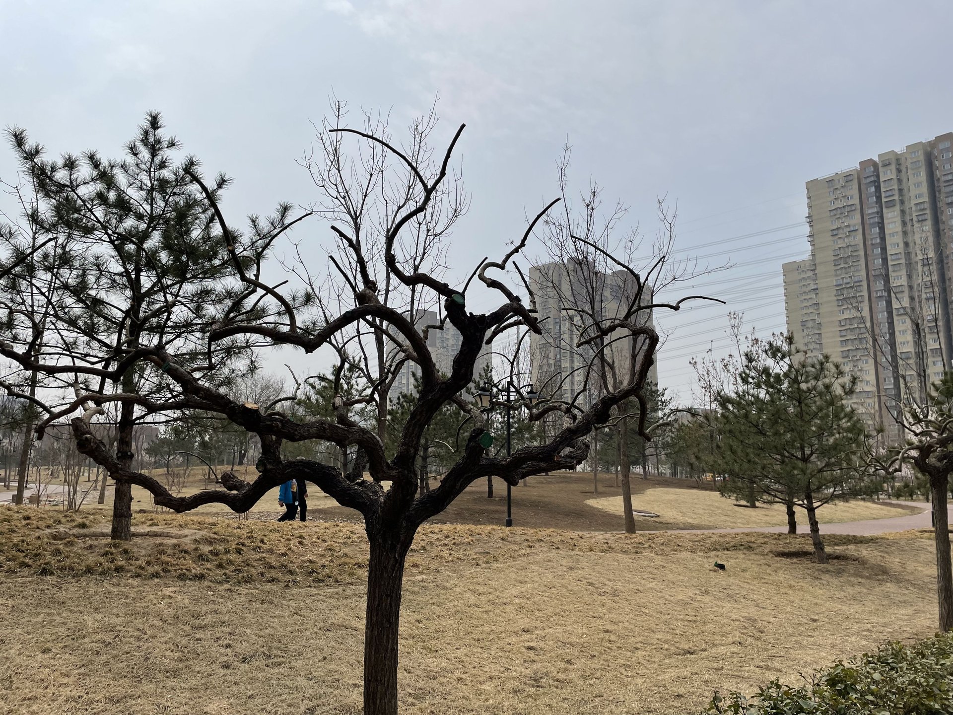 金隅汇星苑 - Beijing property leasing for expats