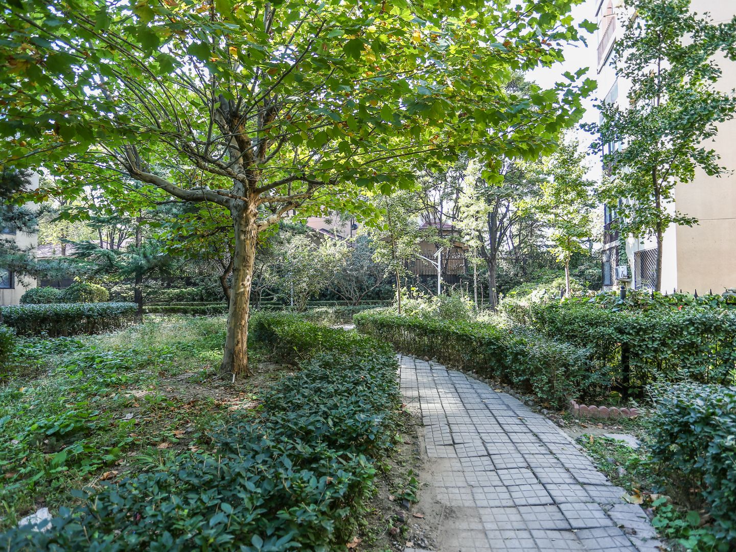 九龙山庄二区 - Beijing property leasing for expats