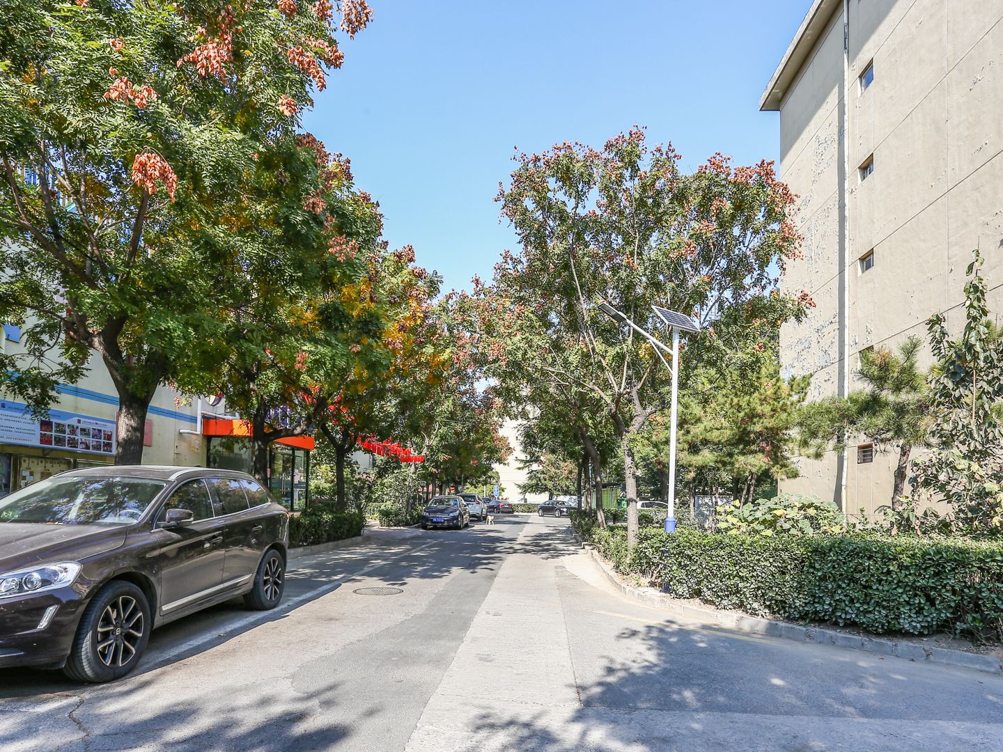 九龙山庄二区 - Beijing property leasing for expats