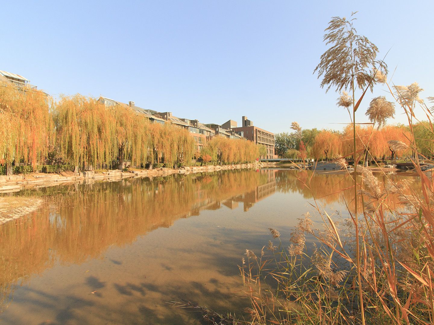 康城别墅二期 - Beijing property leasing for expats