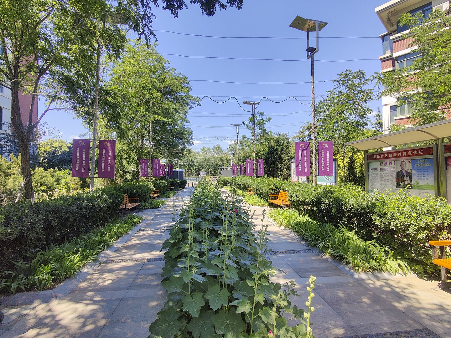 莱茵河畔 - Beijing property leasing for expats