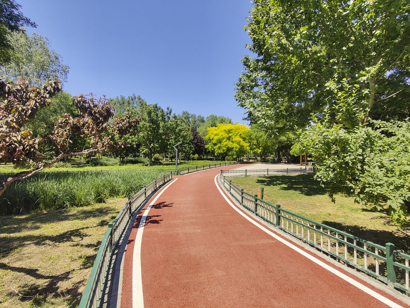 莱茵河畔 - Beijing property leasing for expats