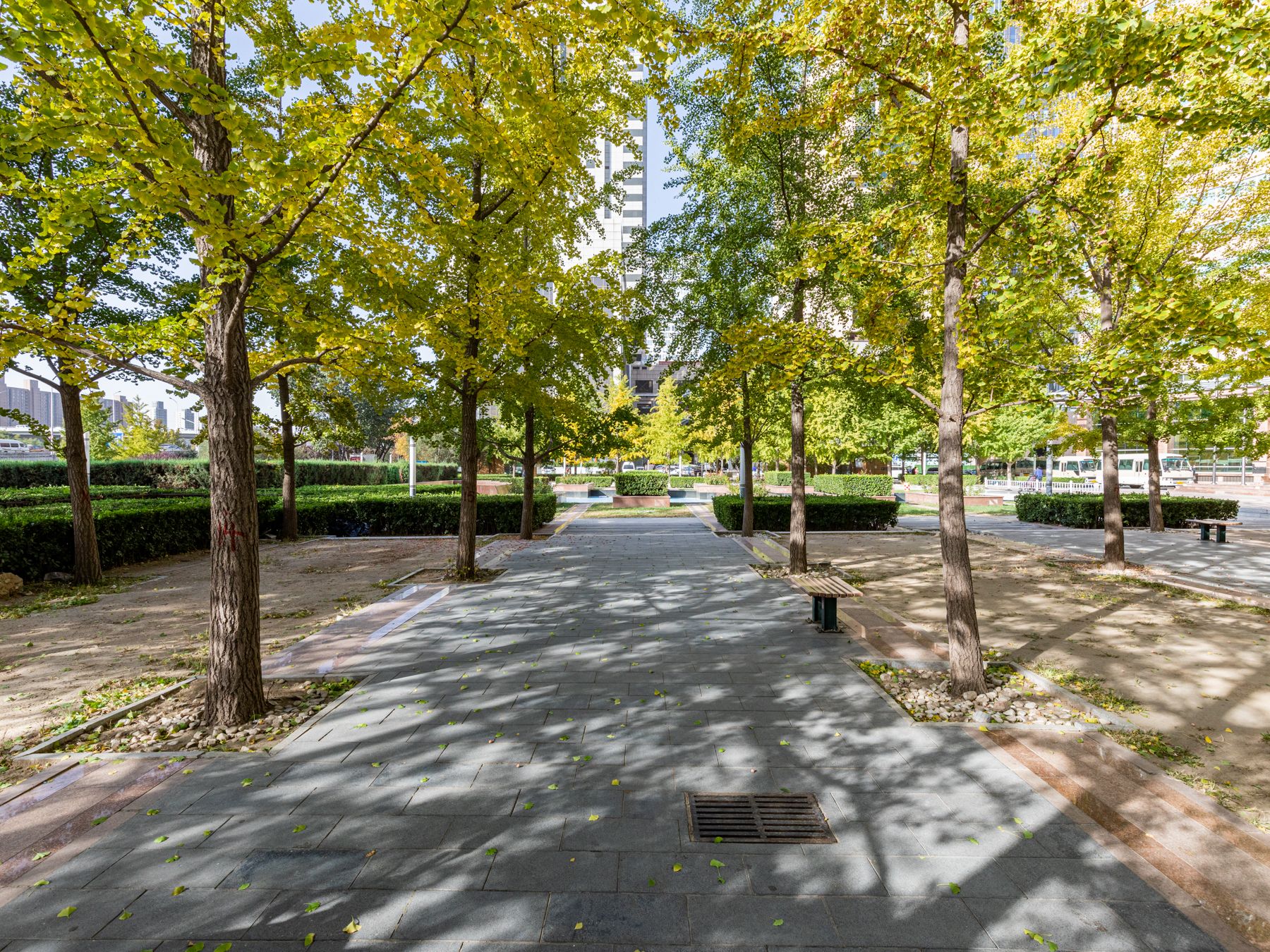 恋日国际 - Beijing property leasing for expats