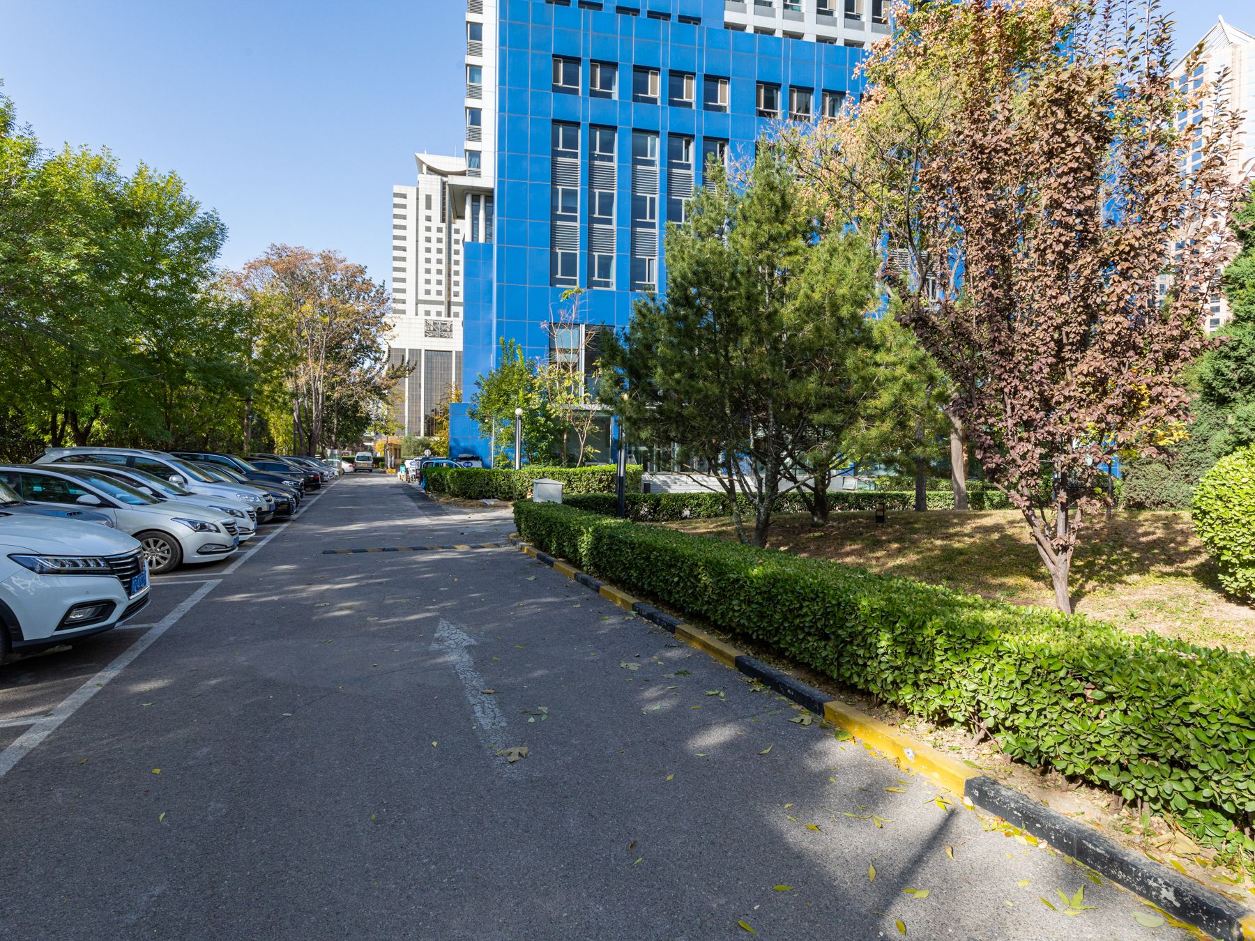 恋日国际 - Beijing property leasing for expats