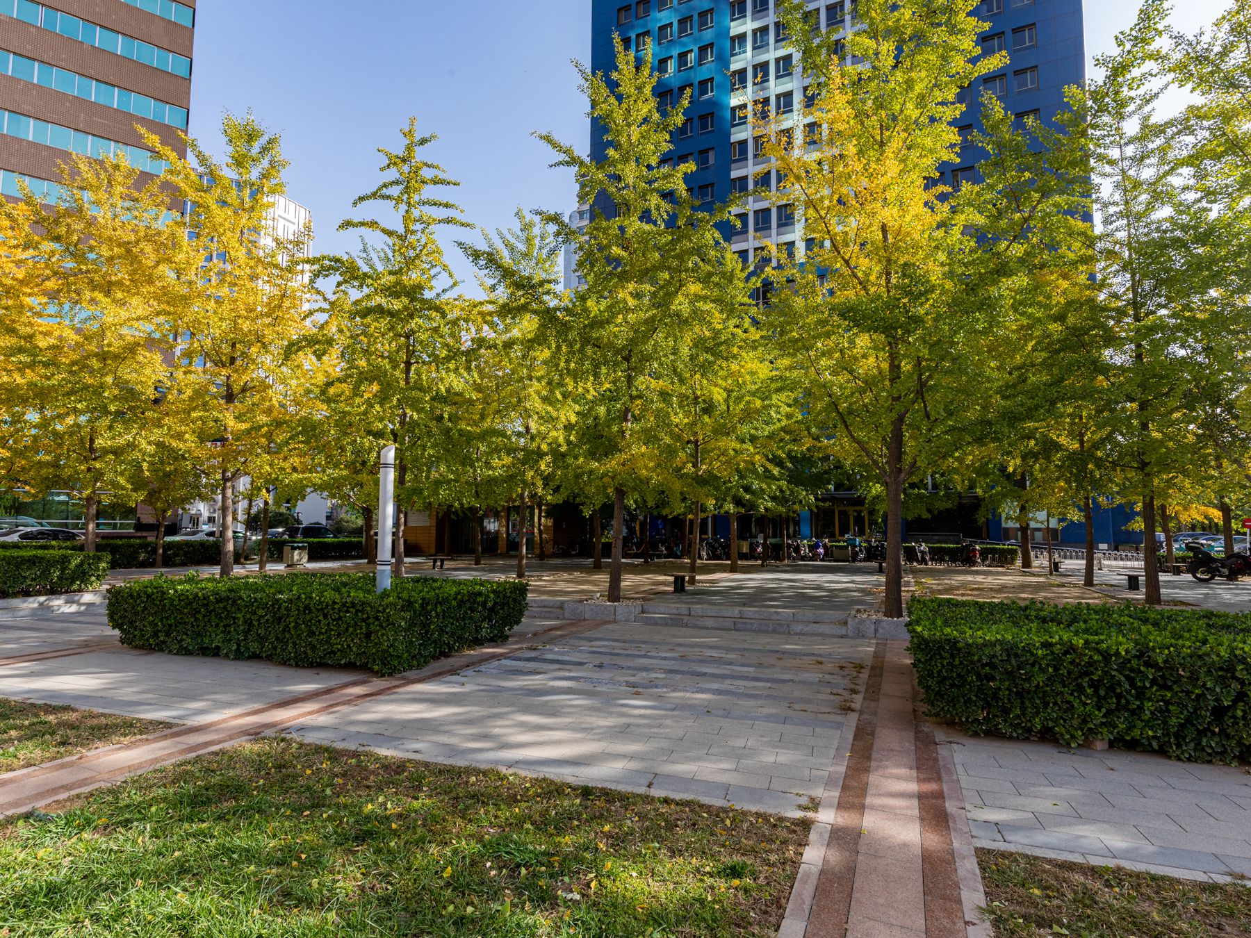 恋日国际 - Beijing property leasing for expats