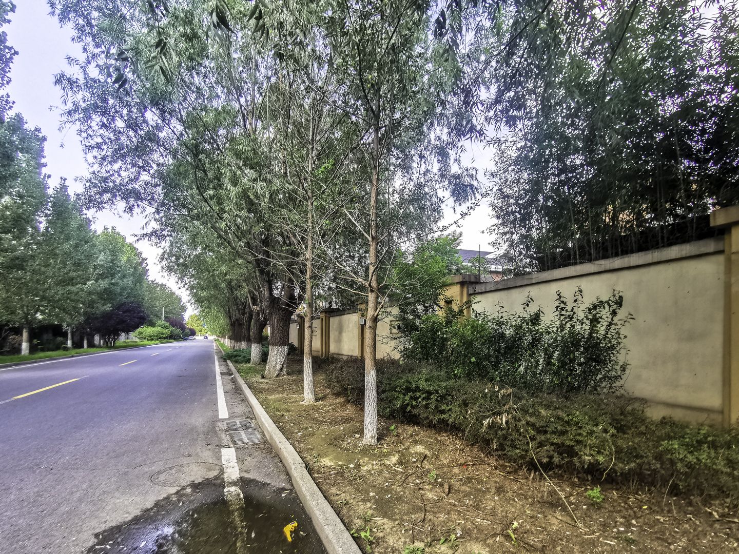 丽嘉花园 - Beijing property leasing for expats