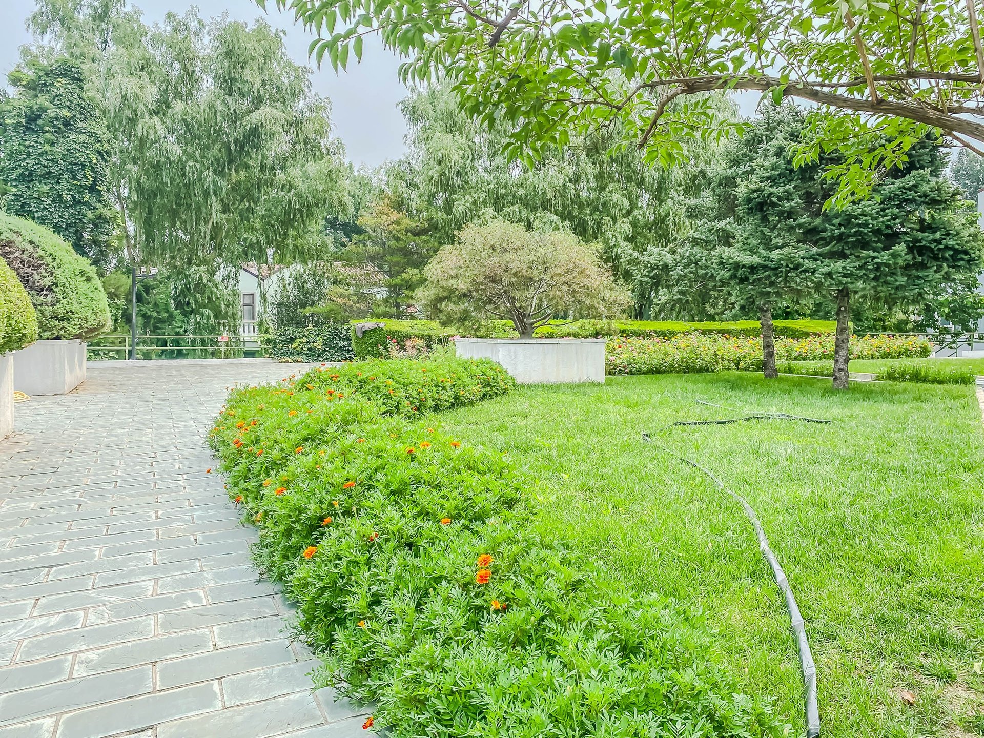 丽京花园 - Beijing property leasing for expats