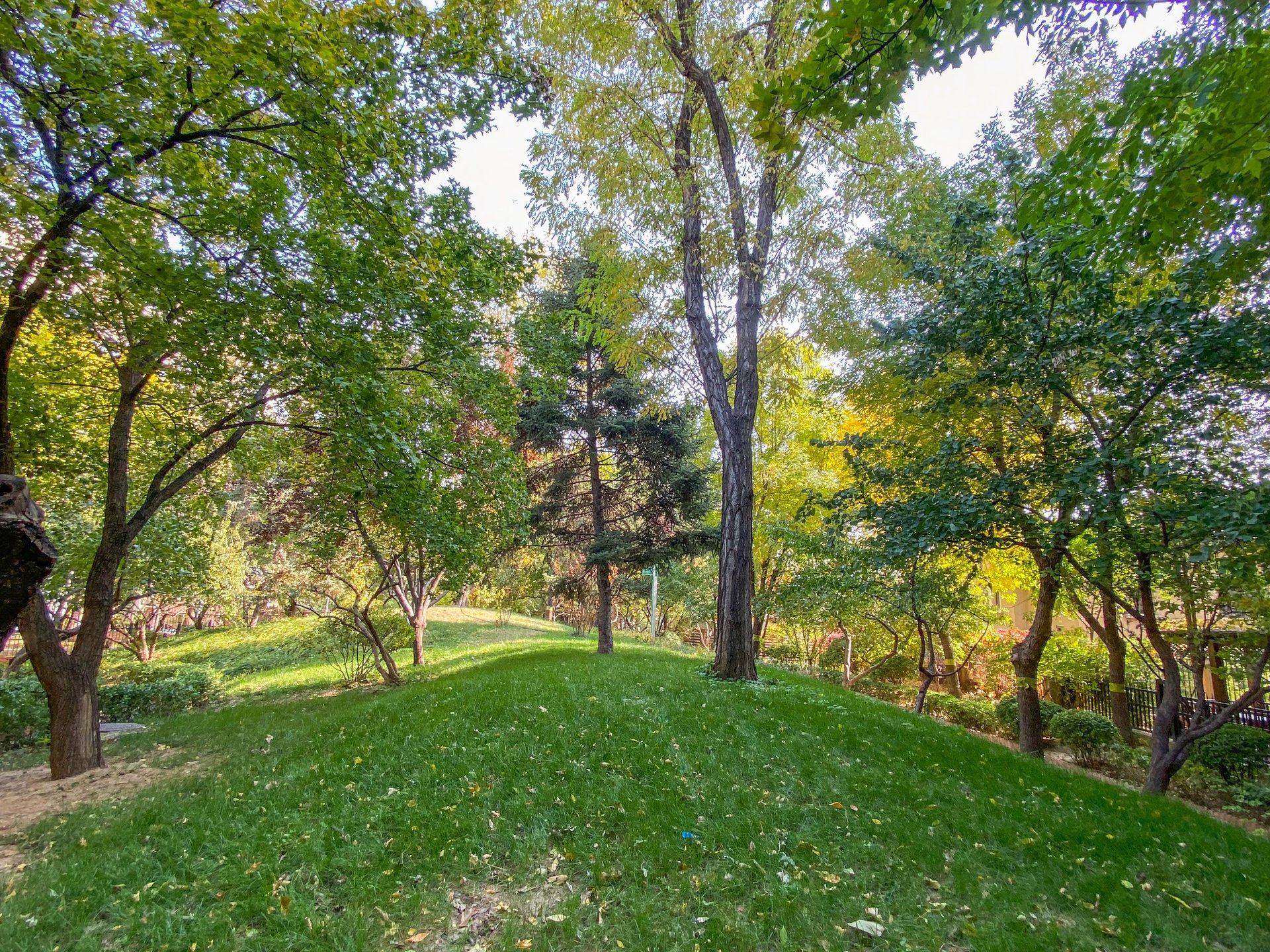 龙湖花盛香醍 - Beijing property leasing for expats