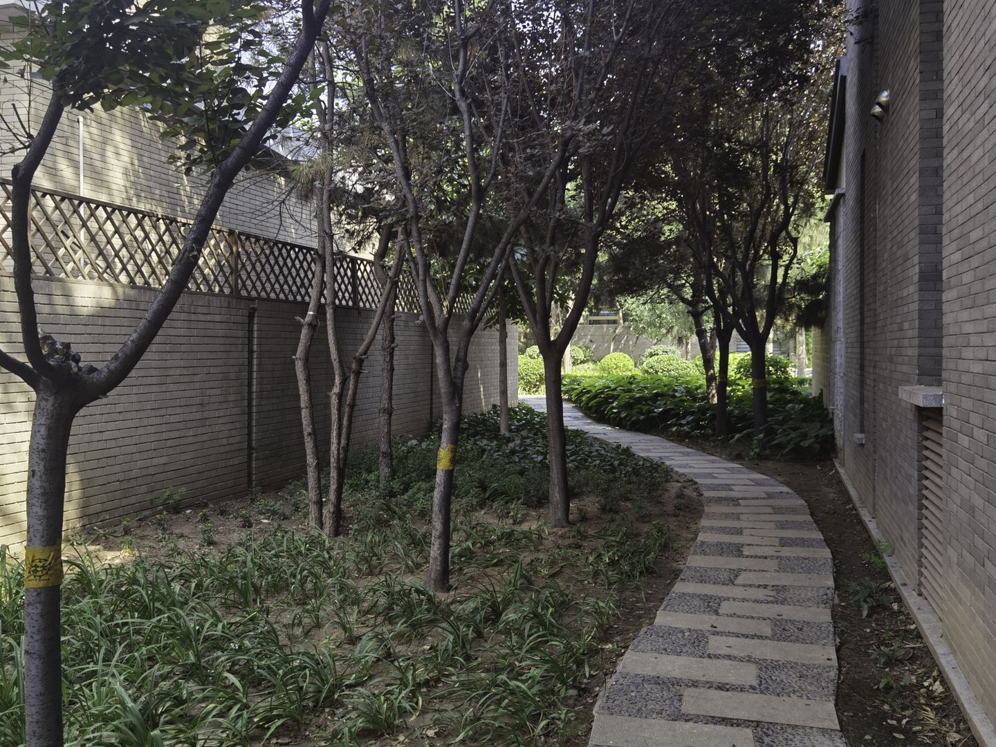 龙湾别墅 - Beijing property leasing for expats