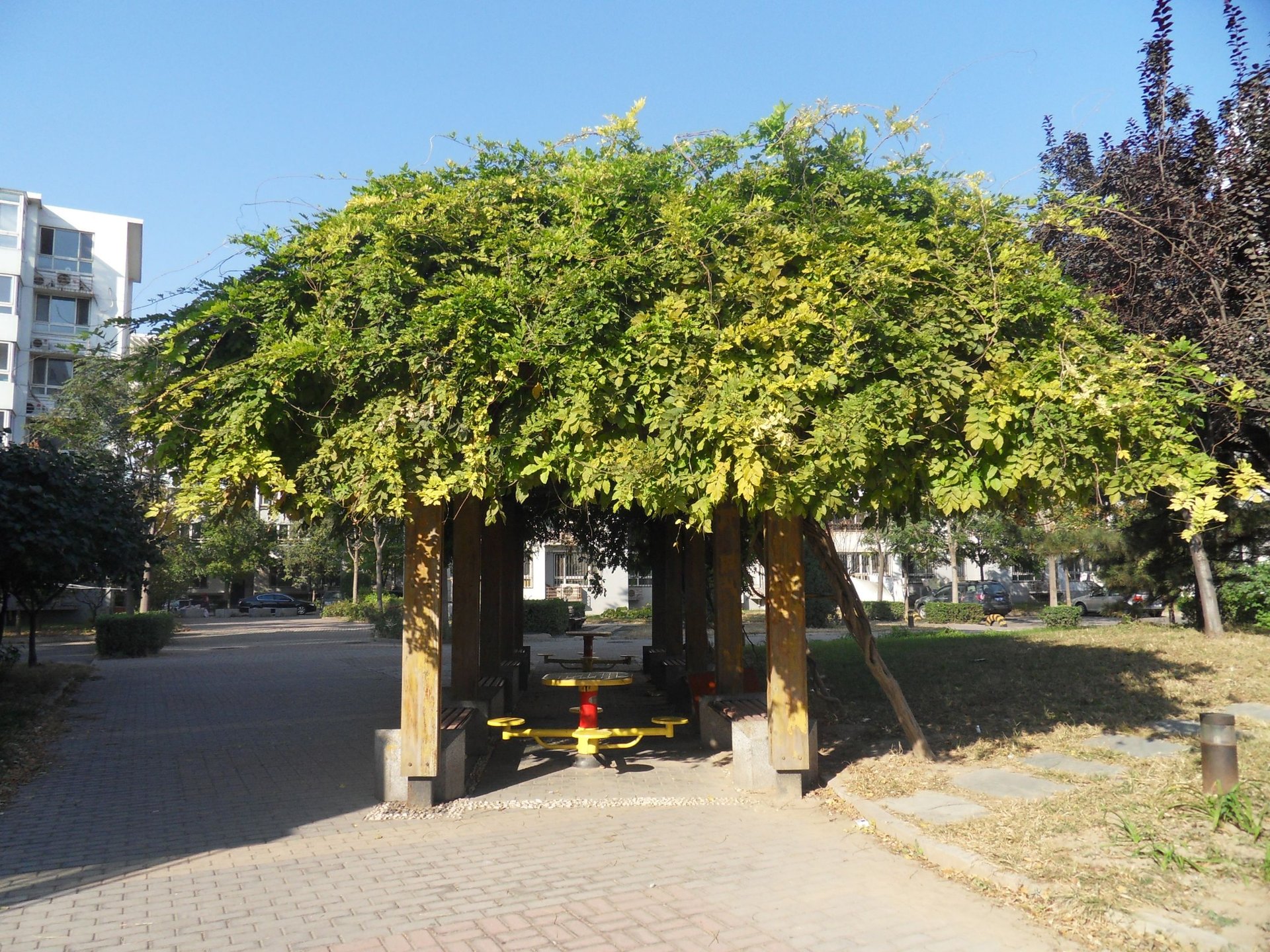 龙禧苑二区 - Beijing property leasing for expats