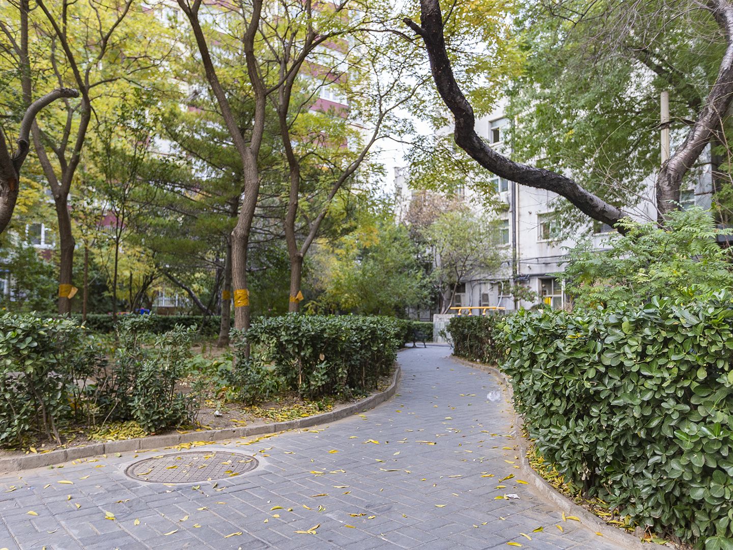 Maolinju - beijing expat housing photo 11