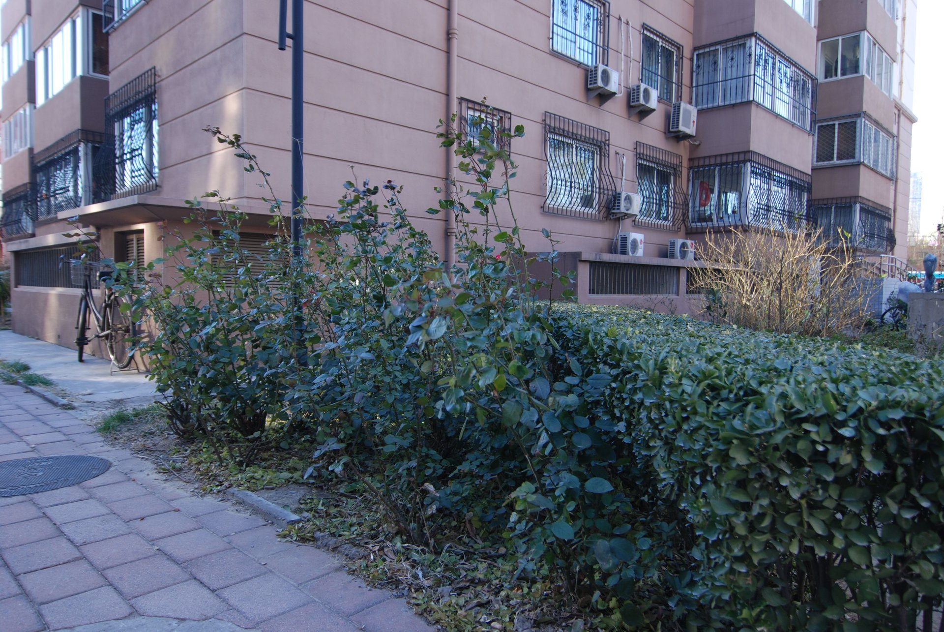 明光北里 - Beijing property leasing for expats