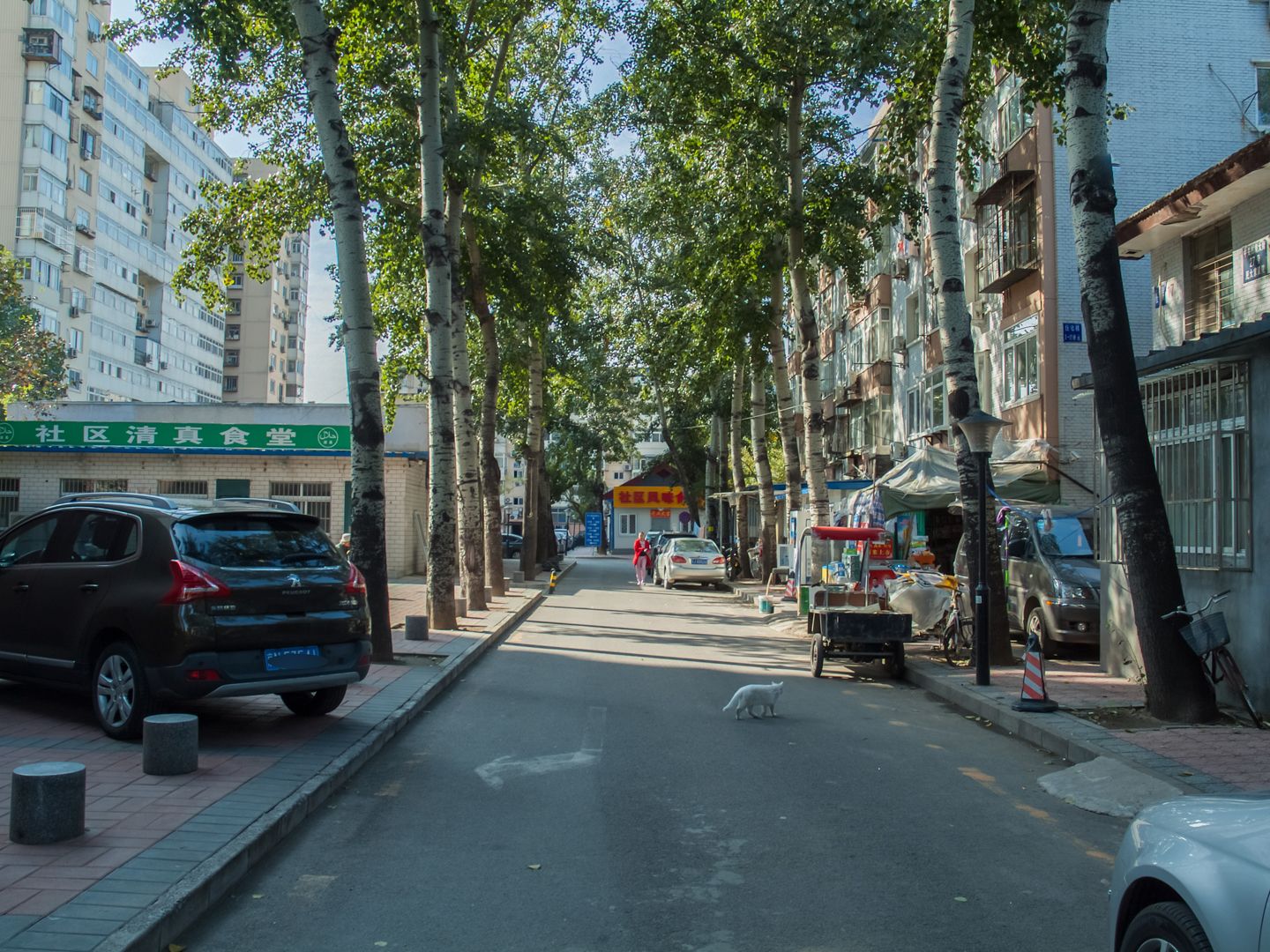 民族大学家属院 - Beijing property leasing for expats