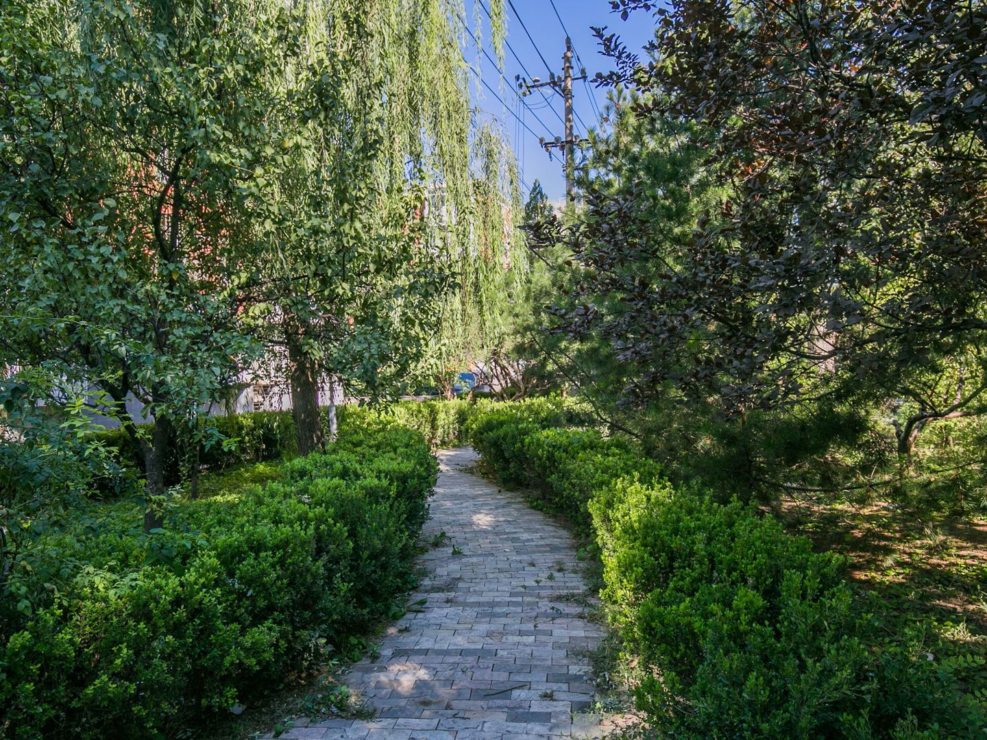 南湖渠西里 - Beijing property leasing for expats