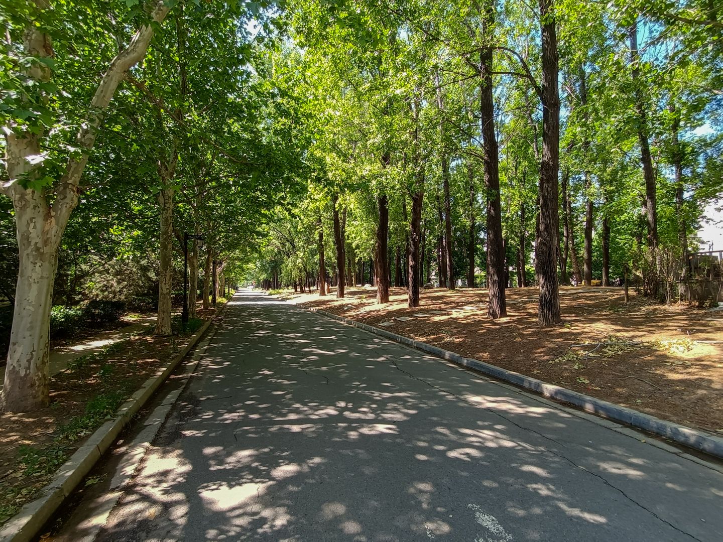 纳帕溪谷 - Beijing property leasing for expats