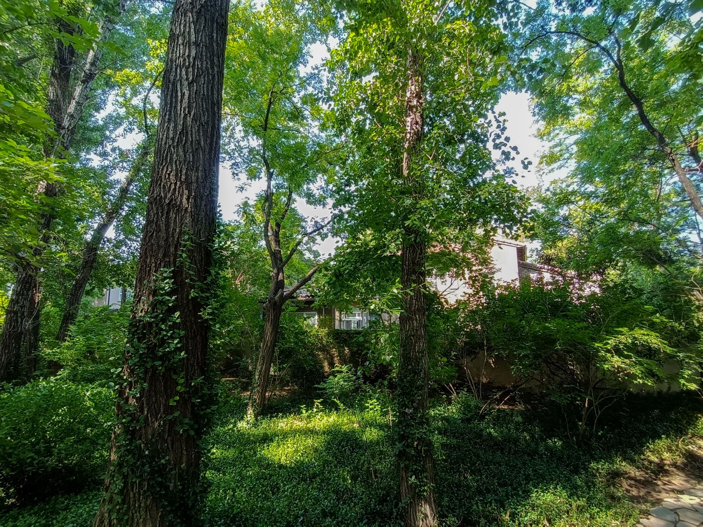 纳帕溪谷 - Beijing property leasing for expats