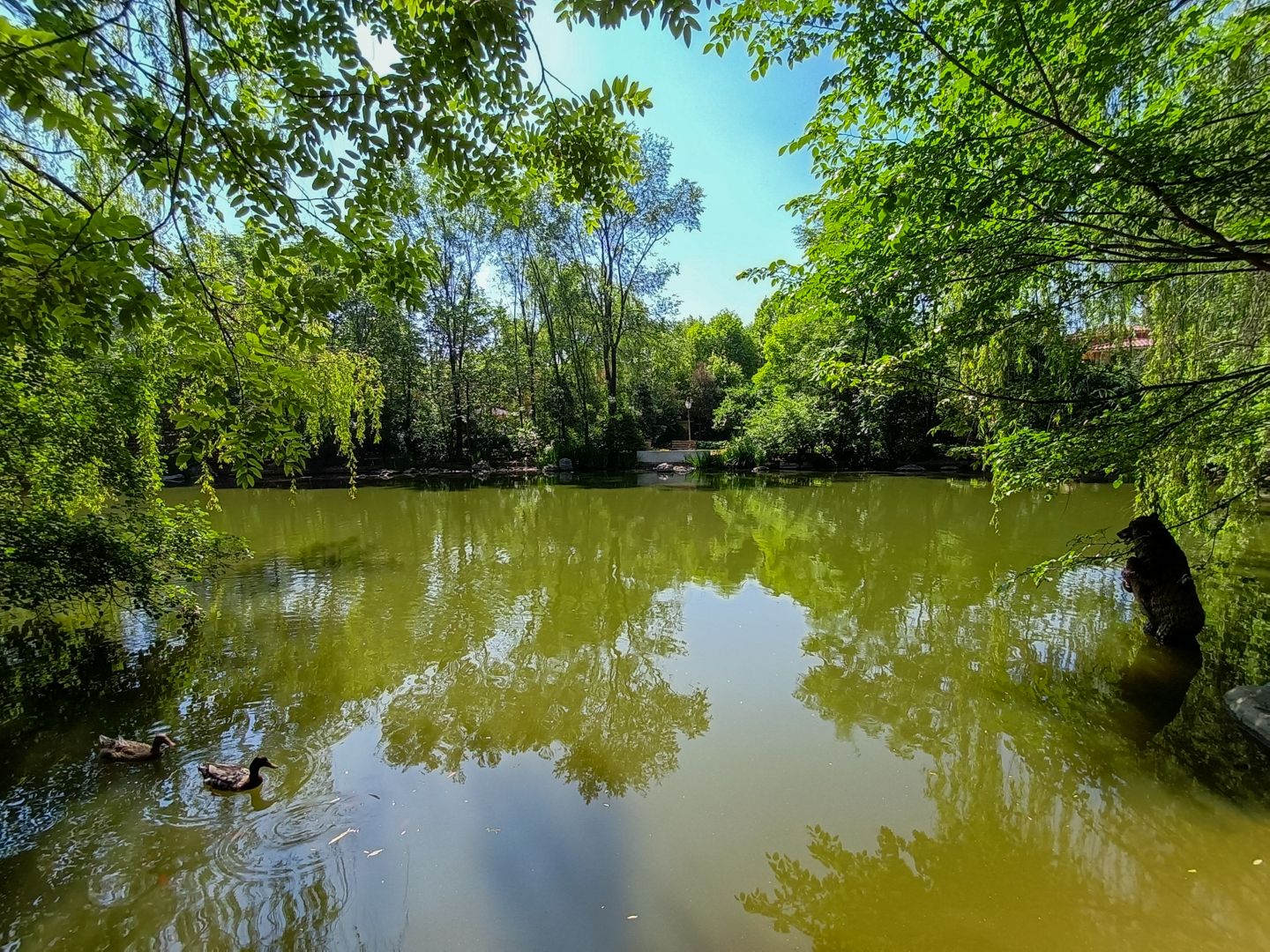 纳帕溪谷 - Beijing property leasing for expats