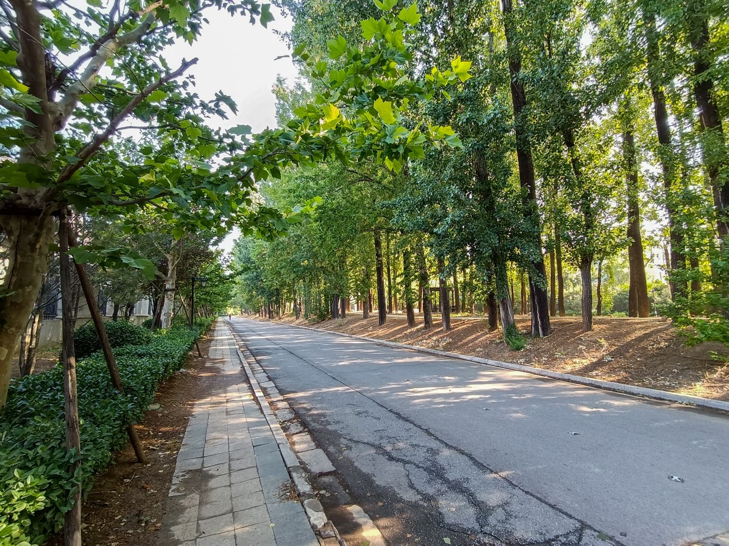 纳帕溪谷 - Beijing property leasing for expats