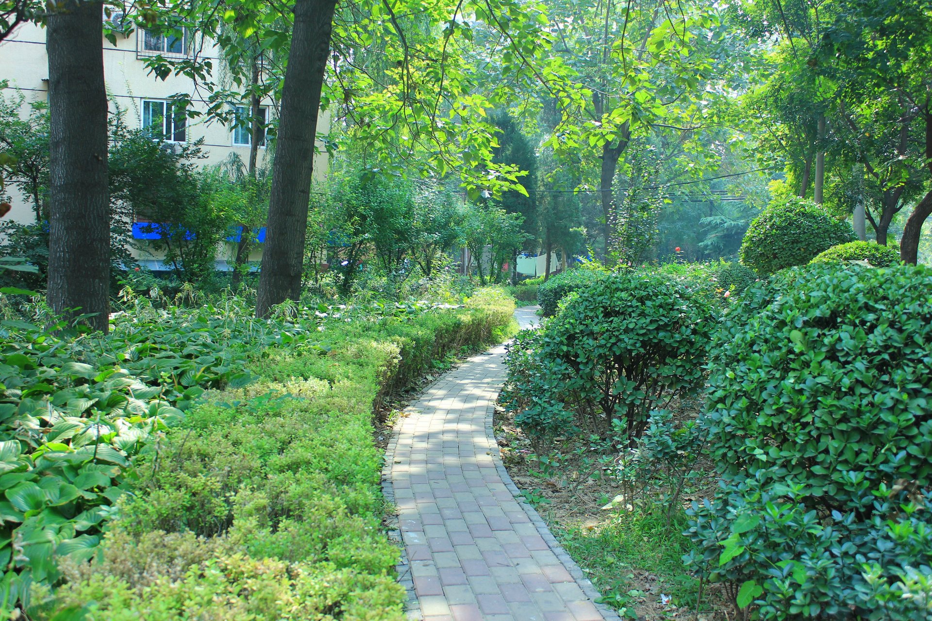 农光东里 - Beijing property leasing for expats