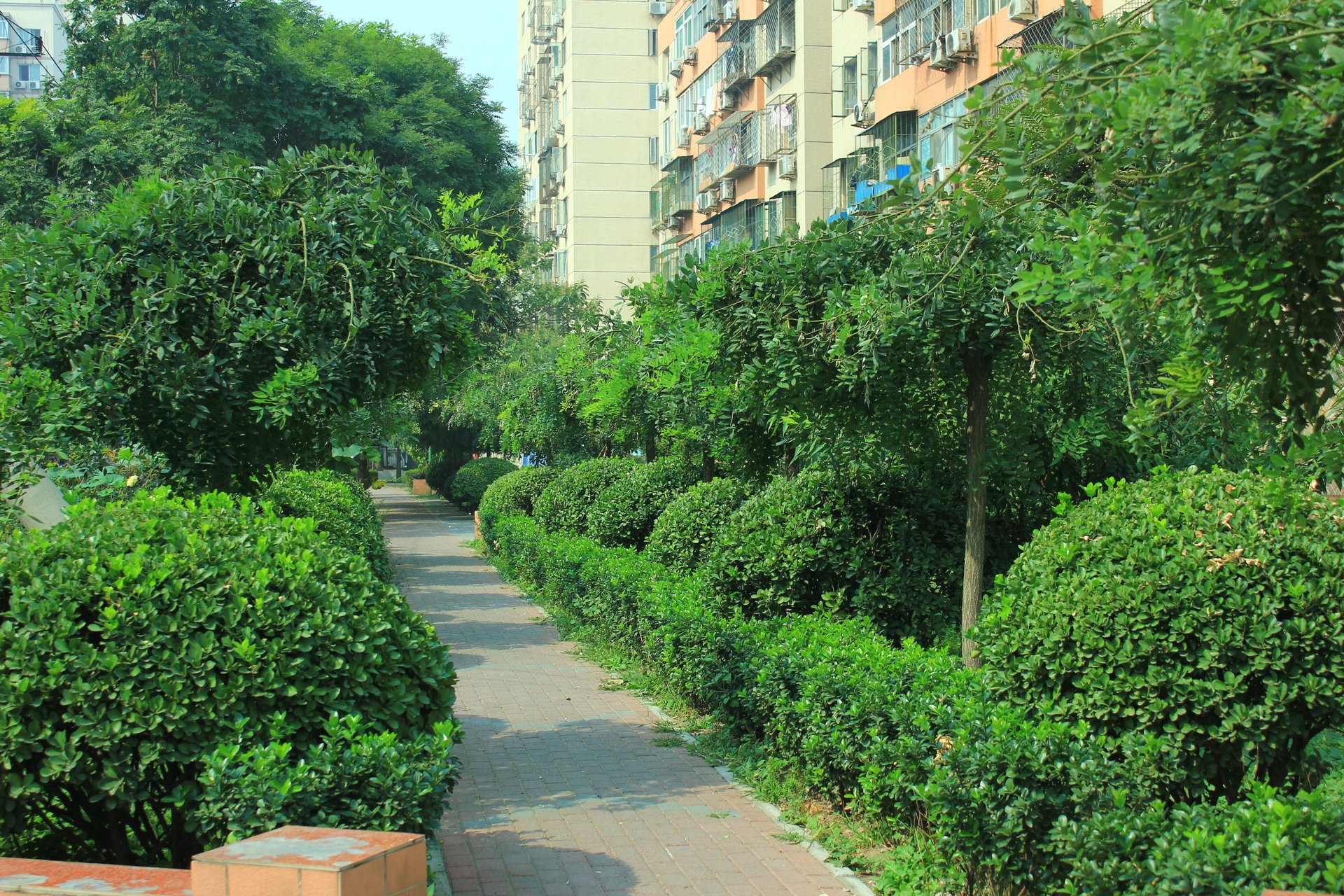 农光东里 - Beijing property leasing for expats