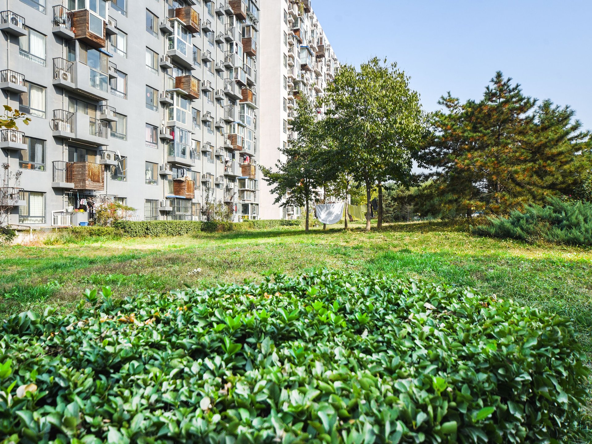 苹果派 - Beijing property leasing for expats