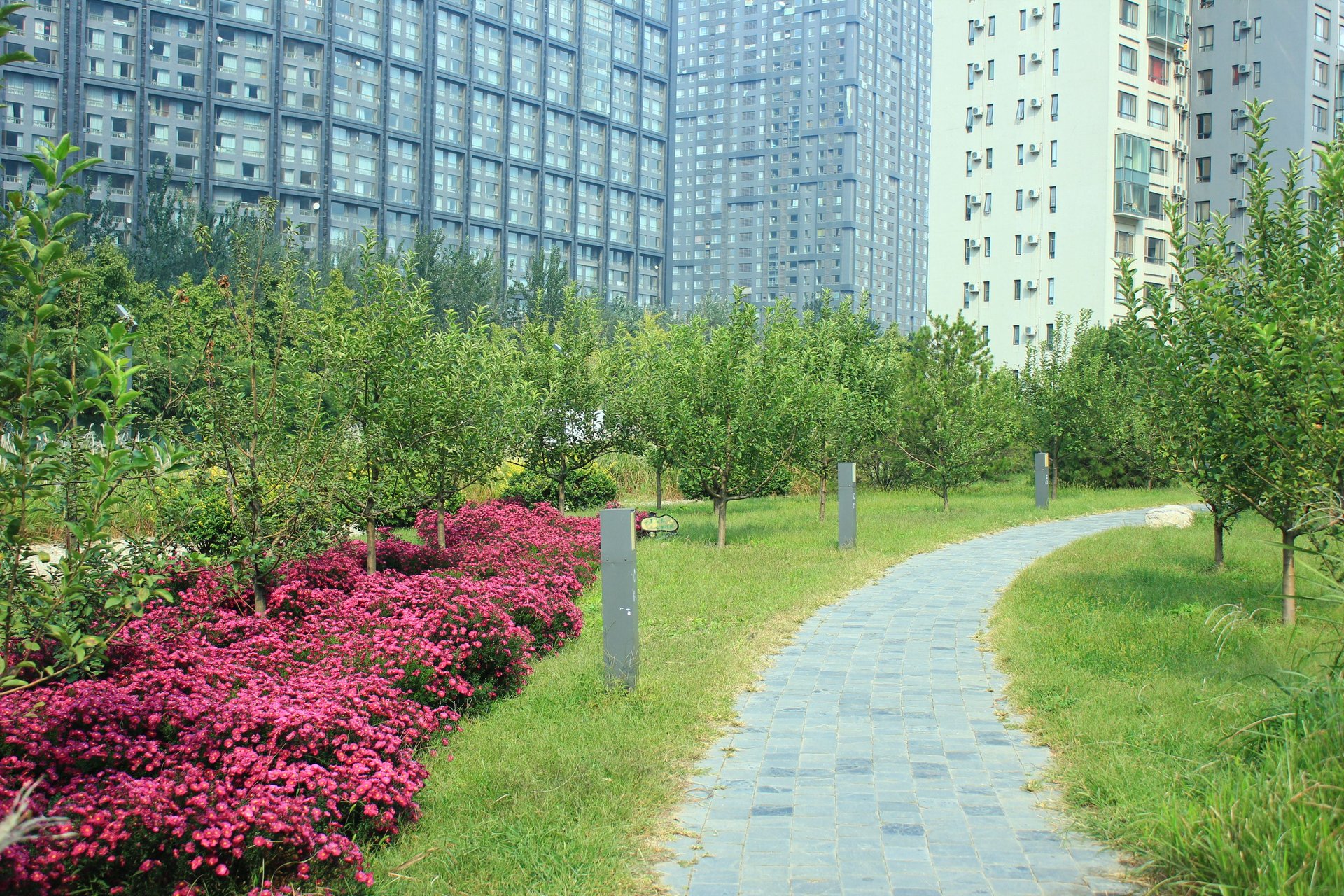 Apple Community South District - beijing expat housing photo 0