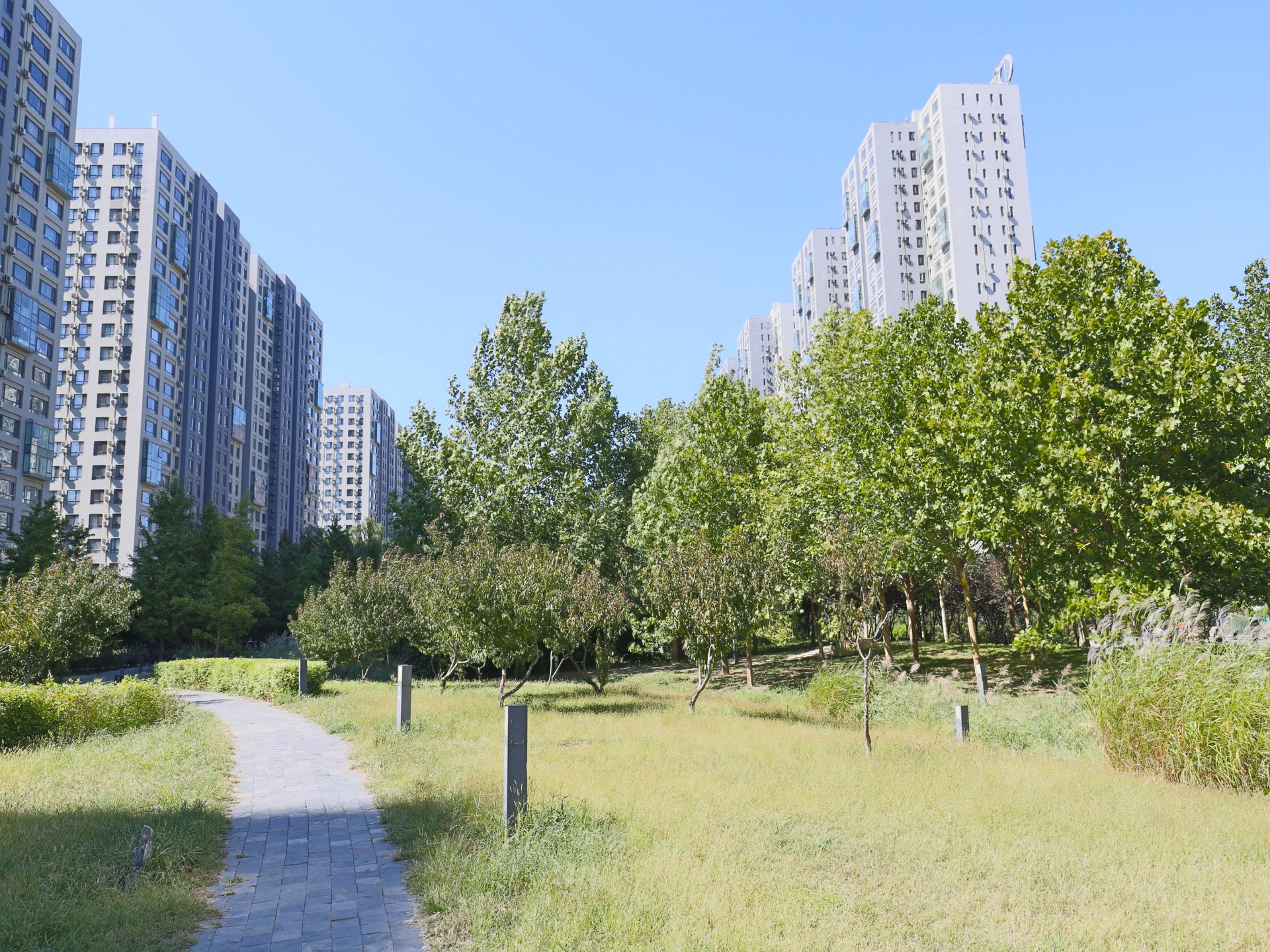 Apple Community South District - beijing expat housing photo 14