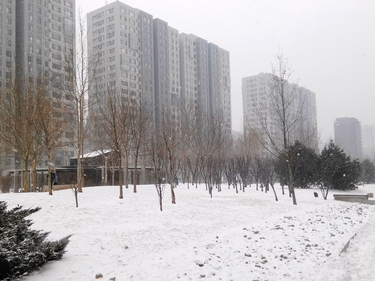 Apple Community South District - beijing expat housing photo 16